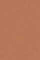 Spicy Caramel