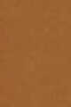 420N Neutral Medium Deep