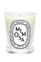 شمعة معطرة ميموزا