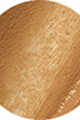 Cool Golden (C-076)