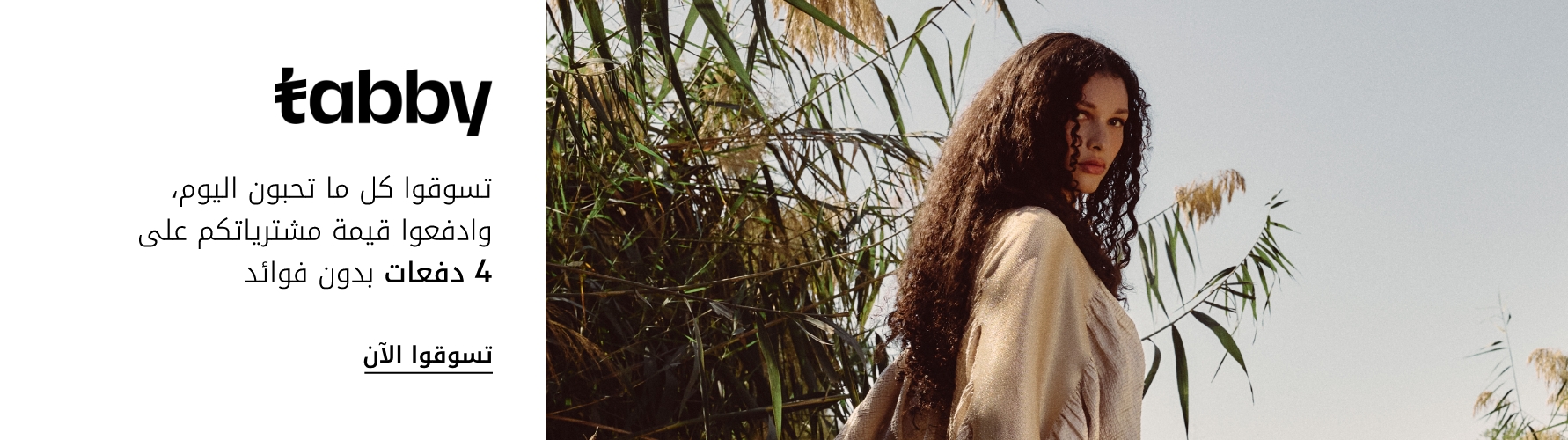 Tabby Interrupter December 18th