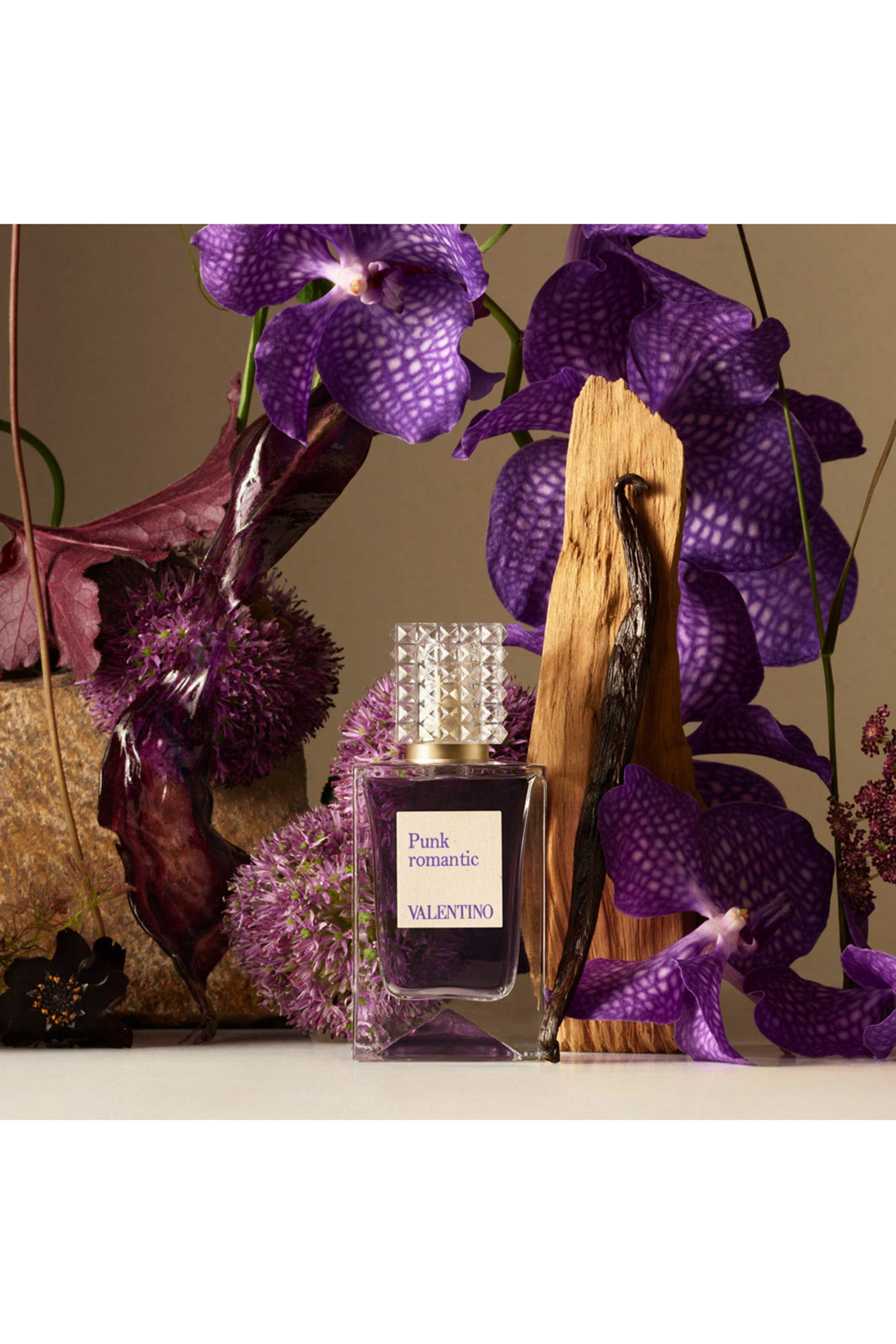 عطر أناتومي أوف دريمز - بانك رومانتيك