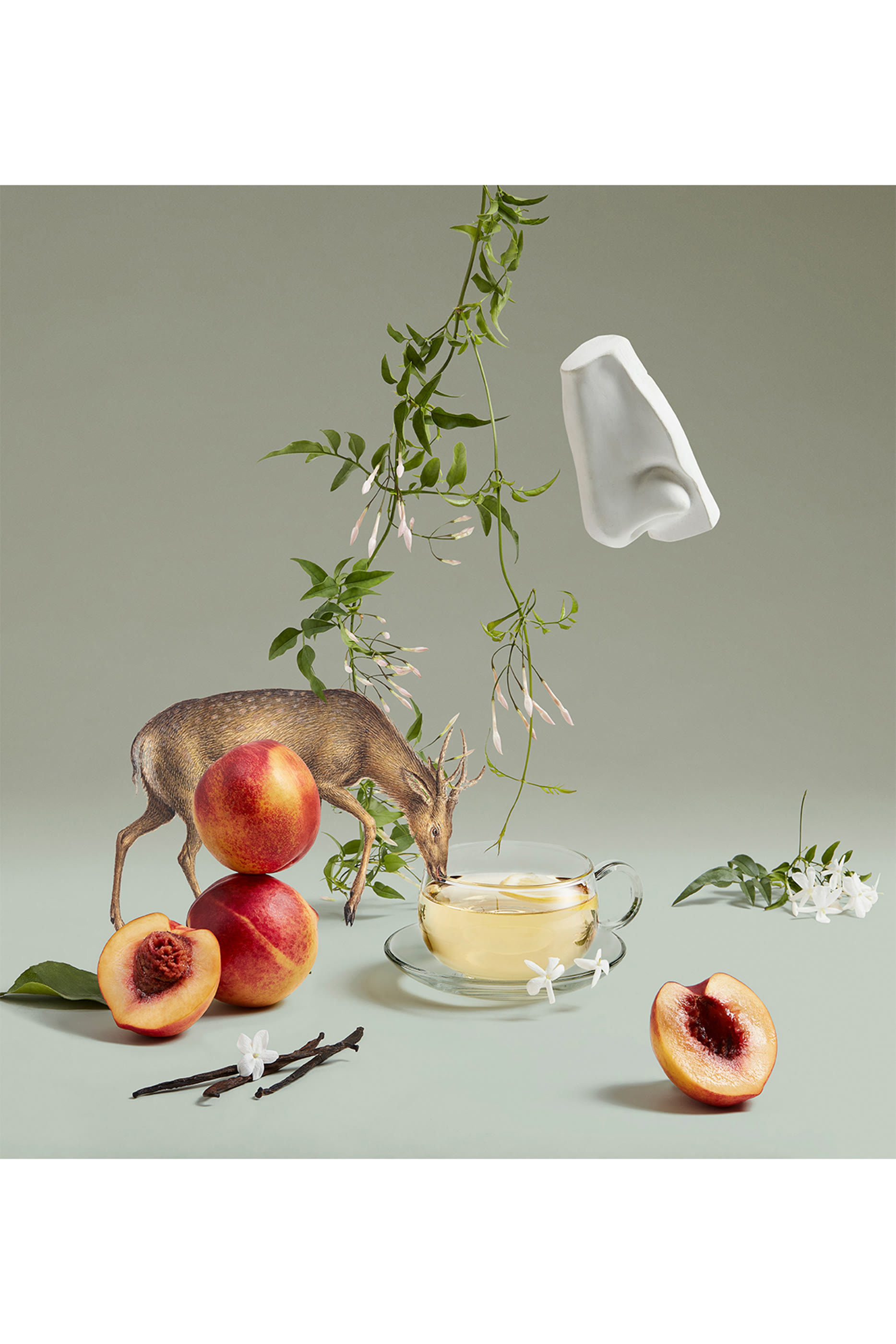 ماء عطر أرتميزيا