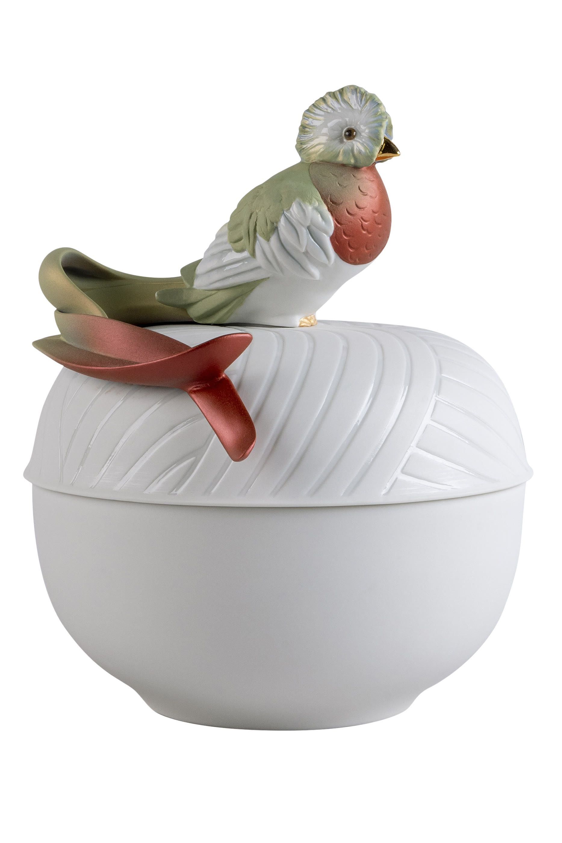 صندوق بطائر الكوازال