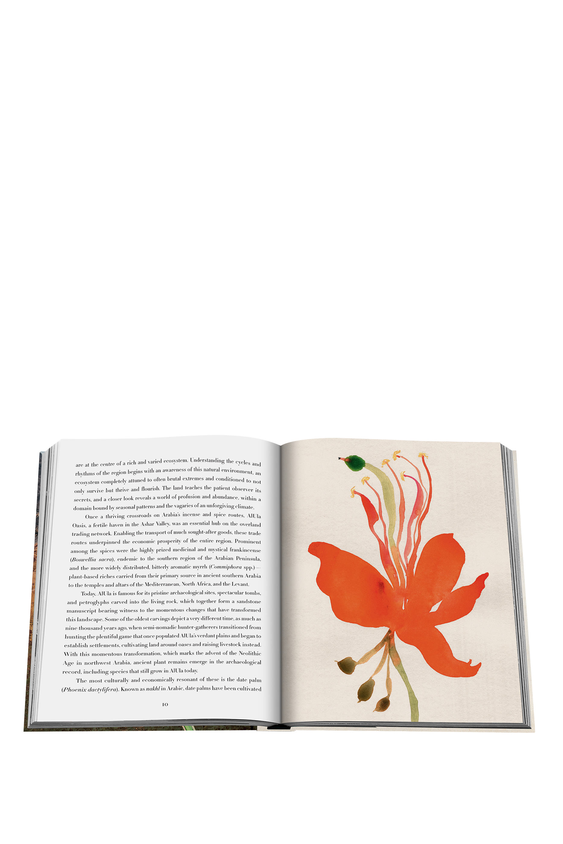 كتاب ألولا فلورا