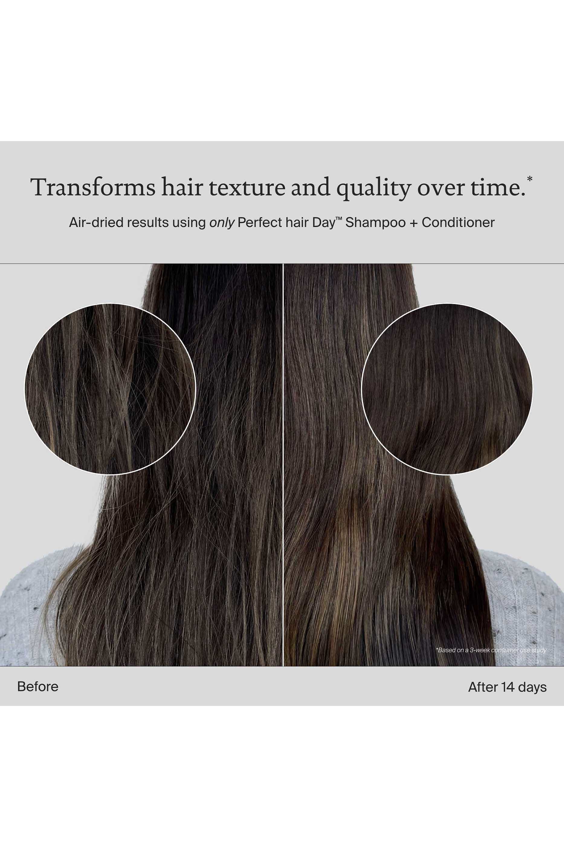 شامبو بيرفكت هير داي