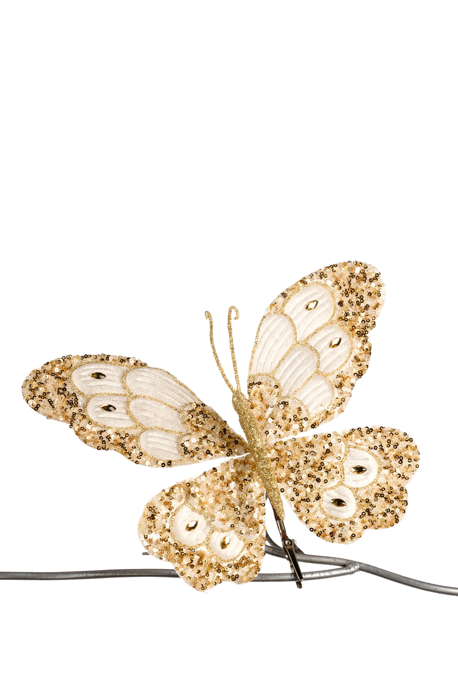 فراشة على مشبك