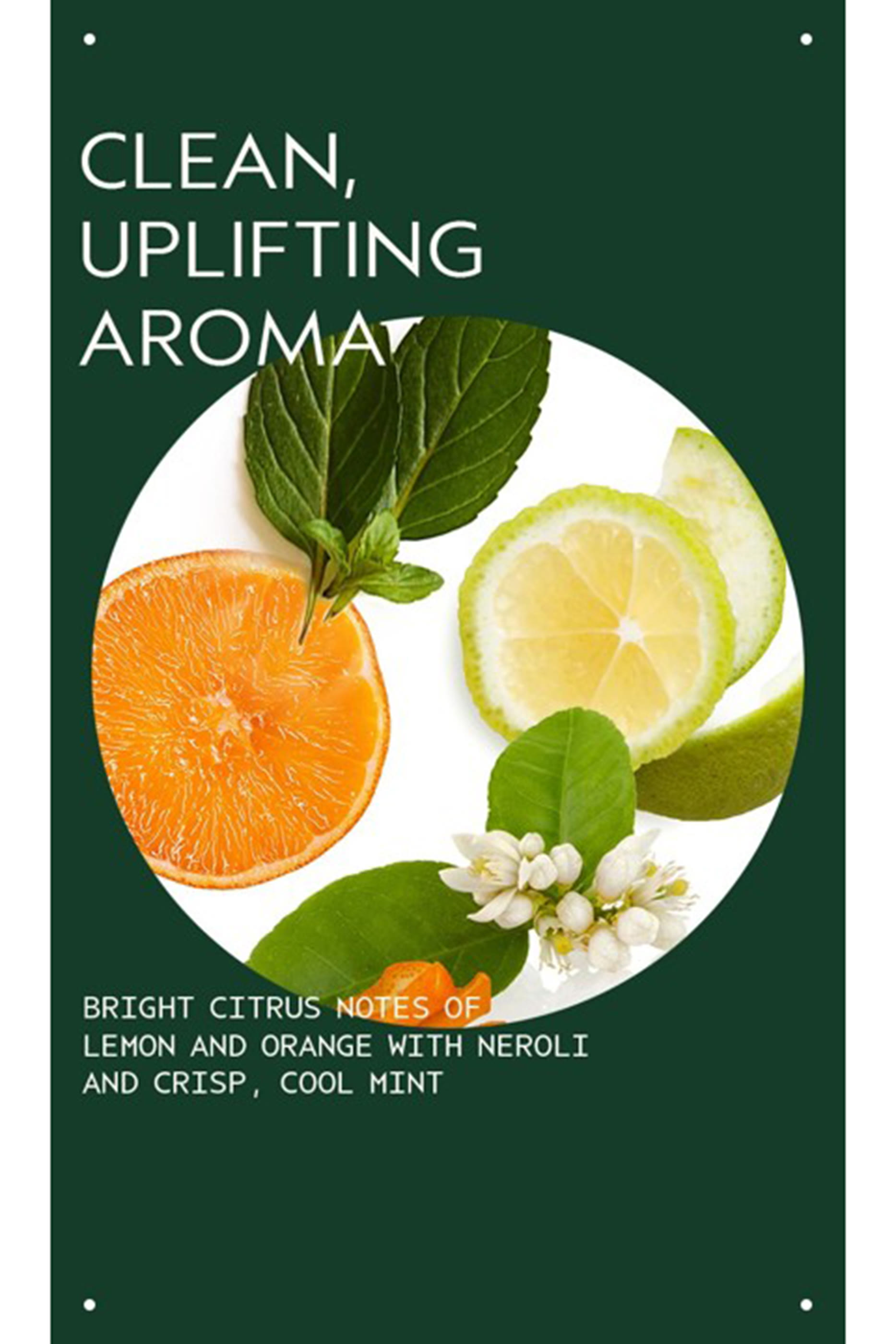 مجموعة سكالب سيرينيتي سولوشنز بالانسين، توفير 25%