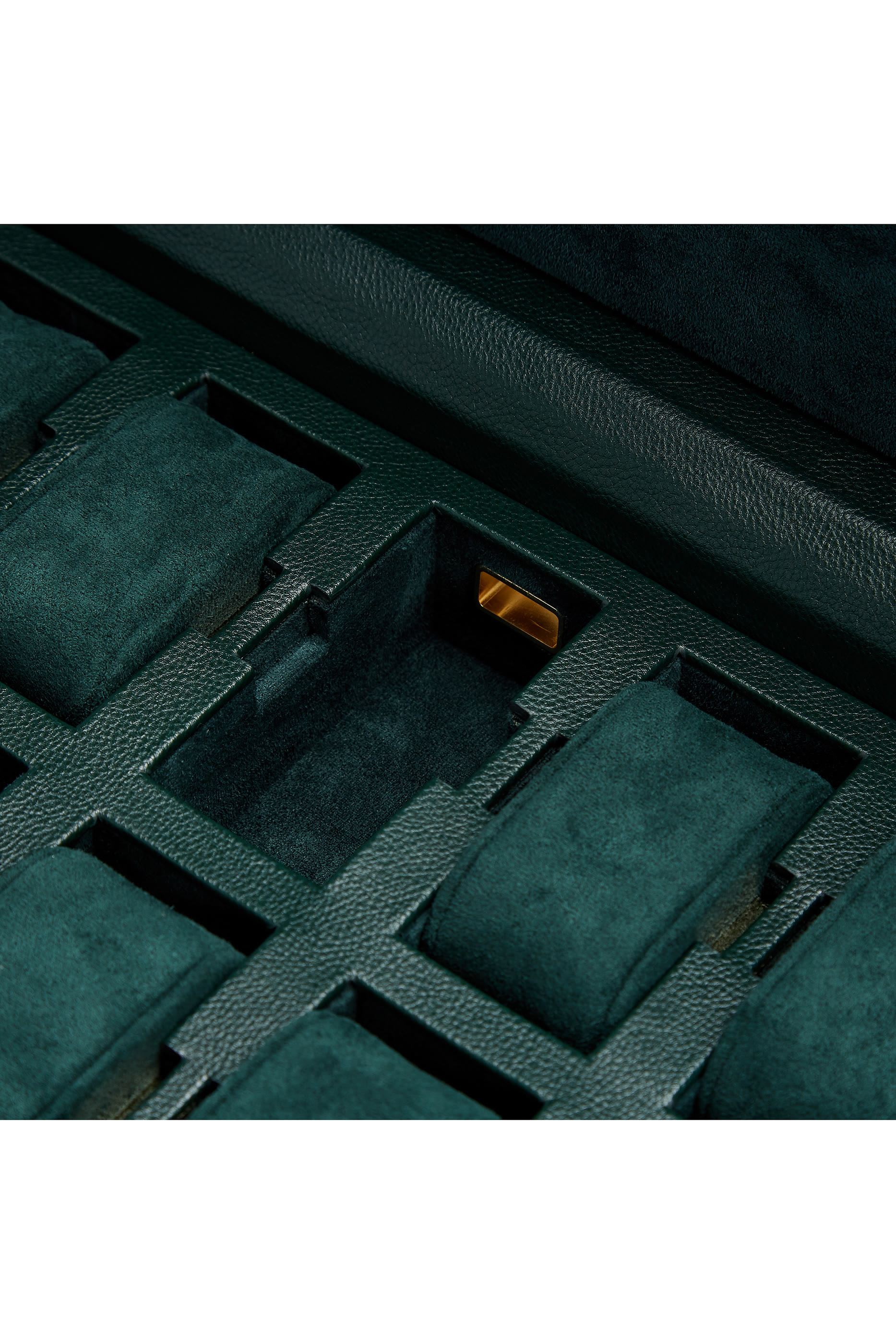 علبة ساعات بريتيش رايسينغ