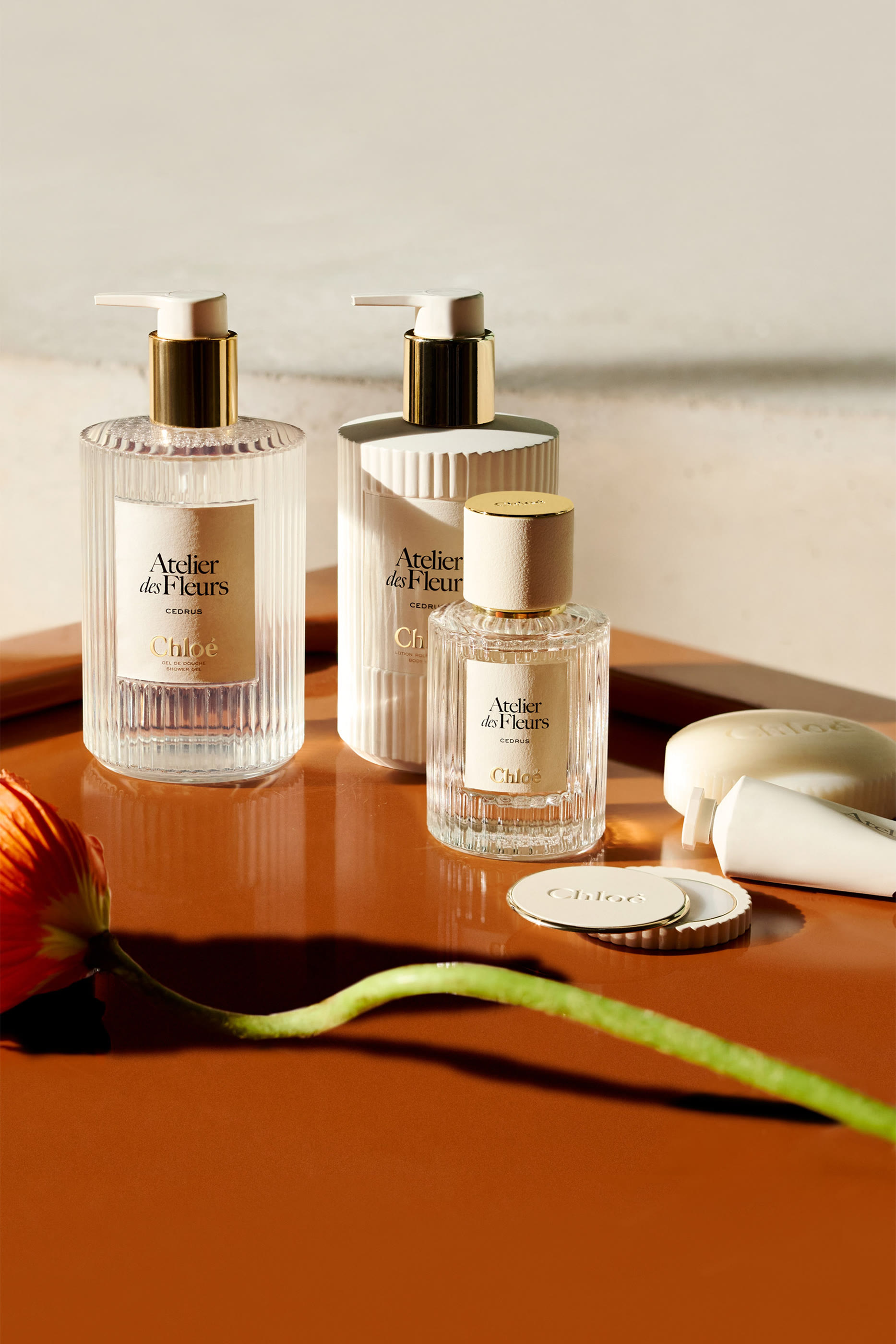 لوشن ماغنوليا ألبا أتولييه دي فلور معطر للجسم