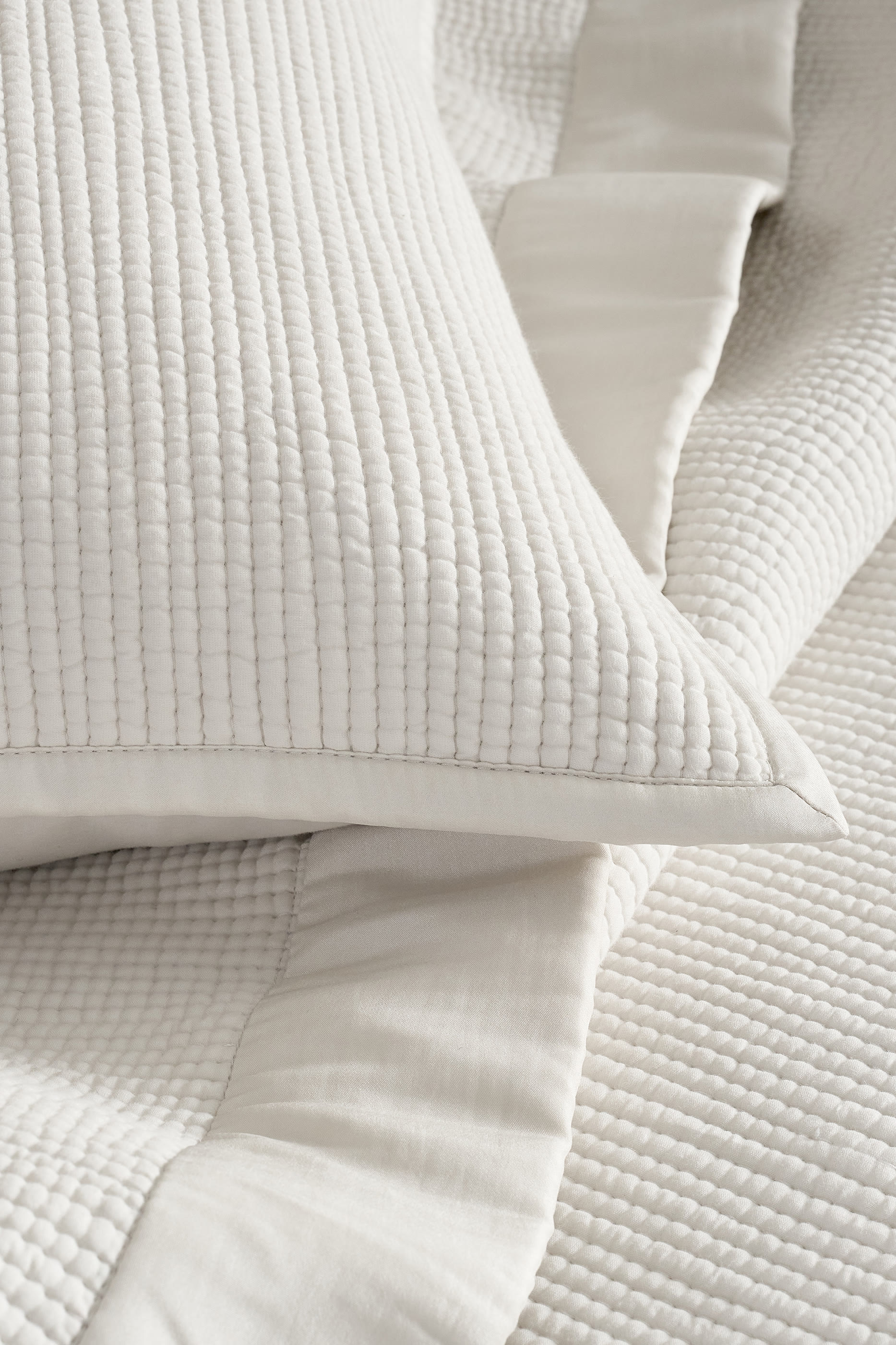 وسادة بلغرافيا