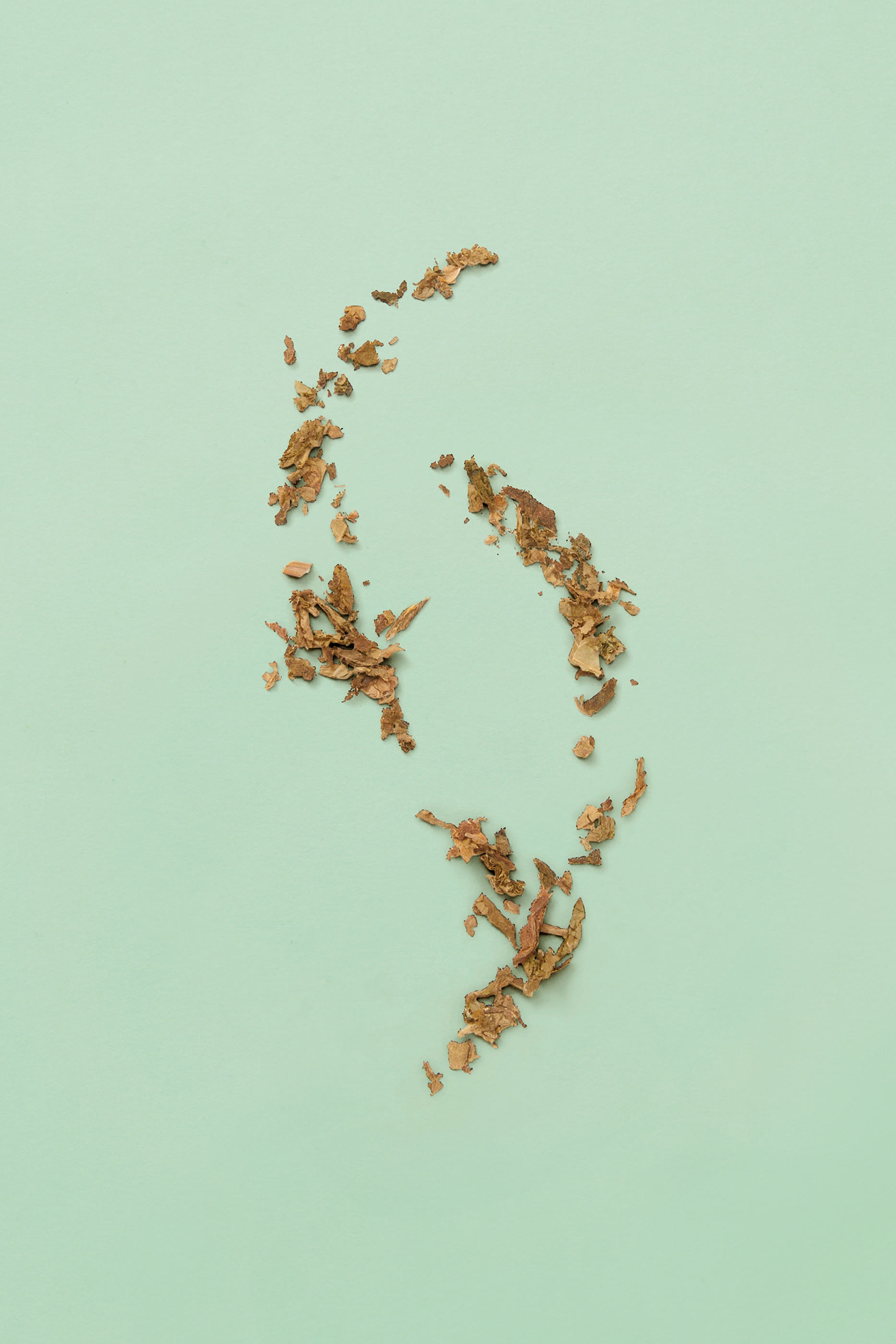 أو دو بارفان أبسولوت