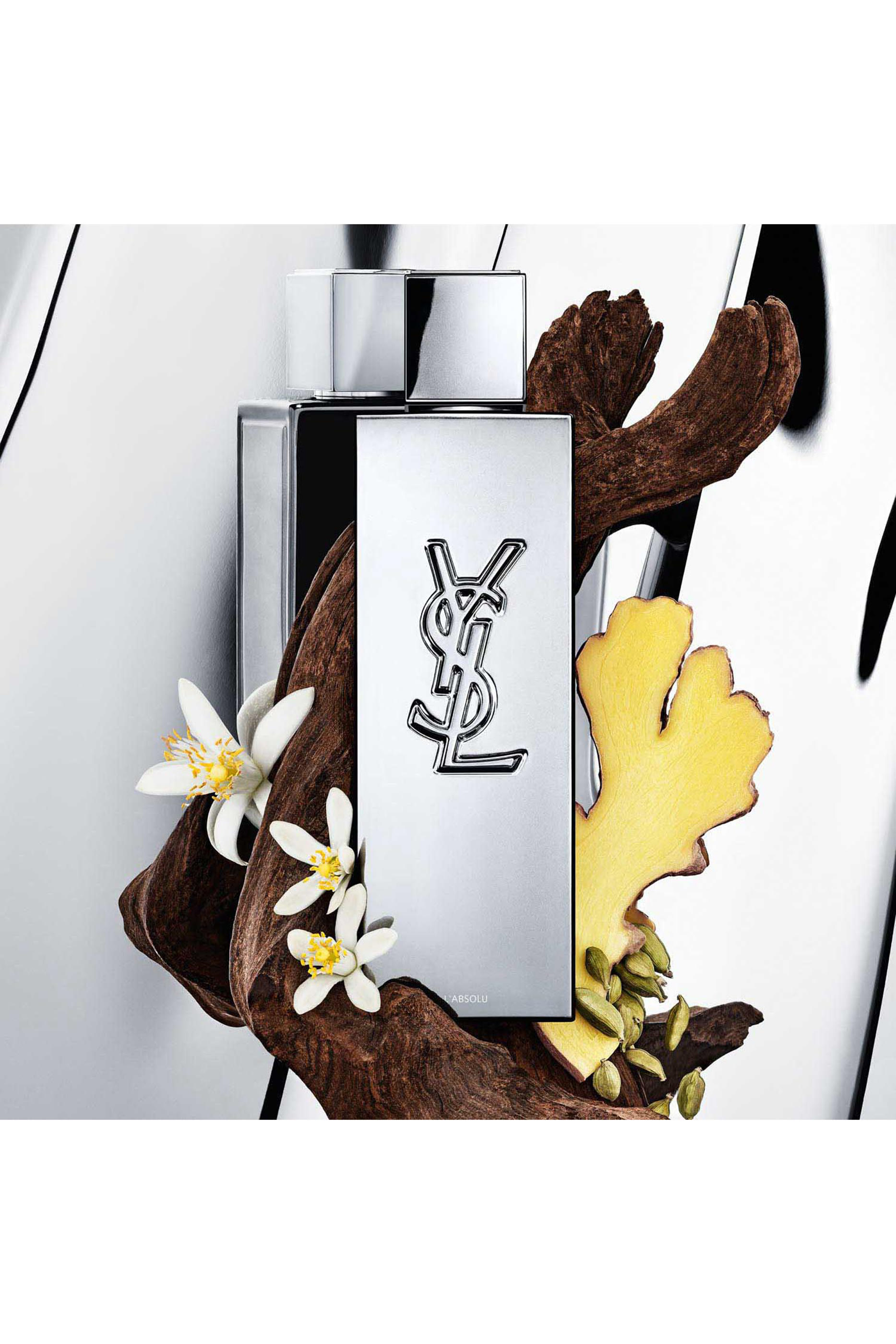 عطر مايسيلف أبسولو