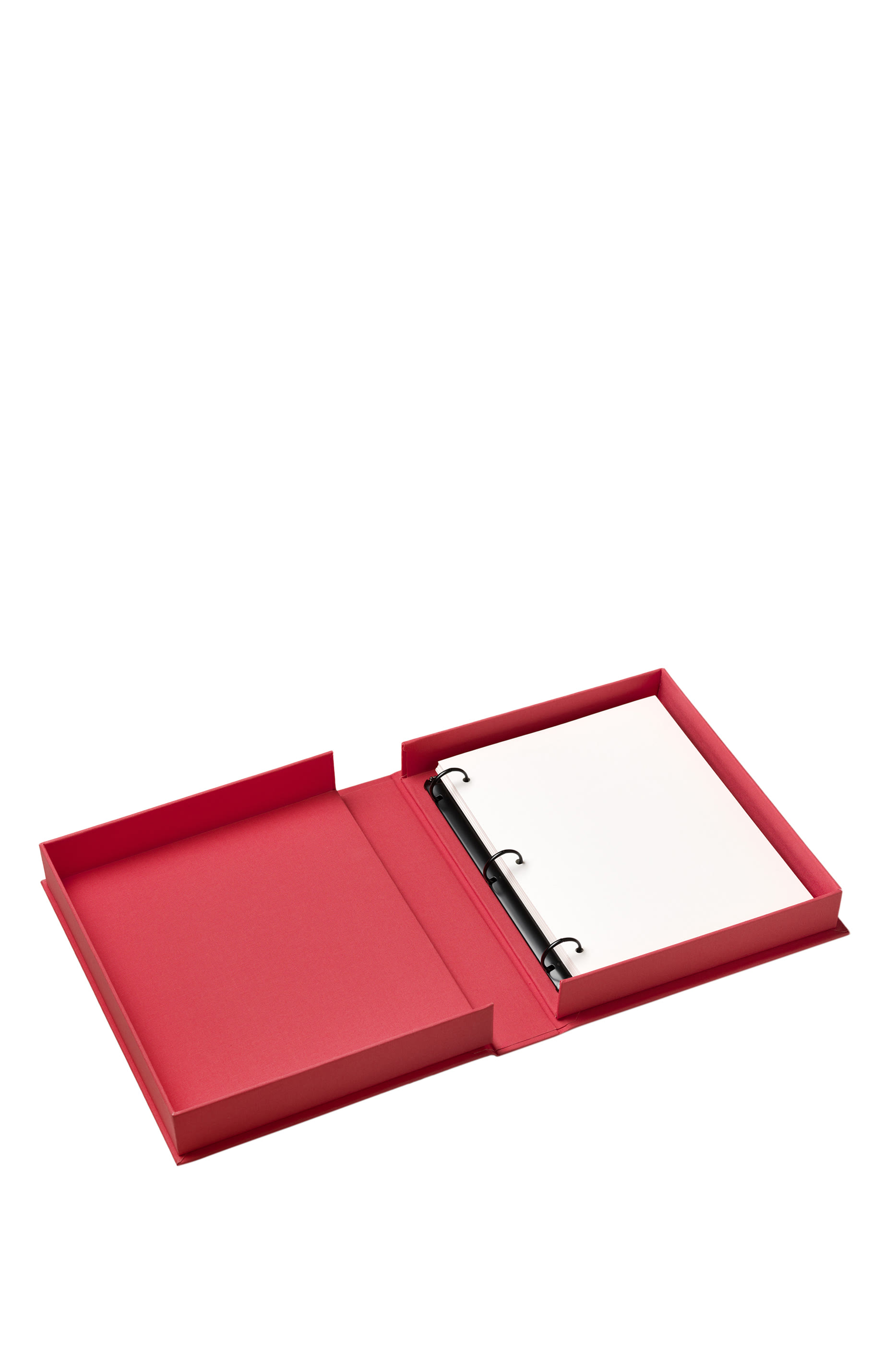 ألبوم صور للأفال دريم بيج ليتل وان