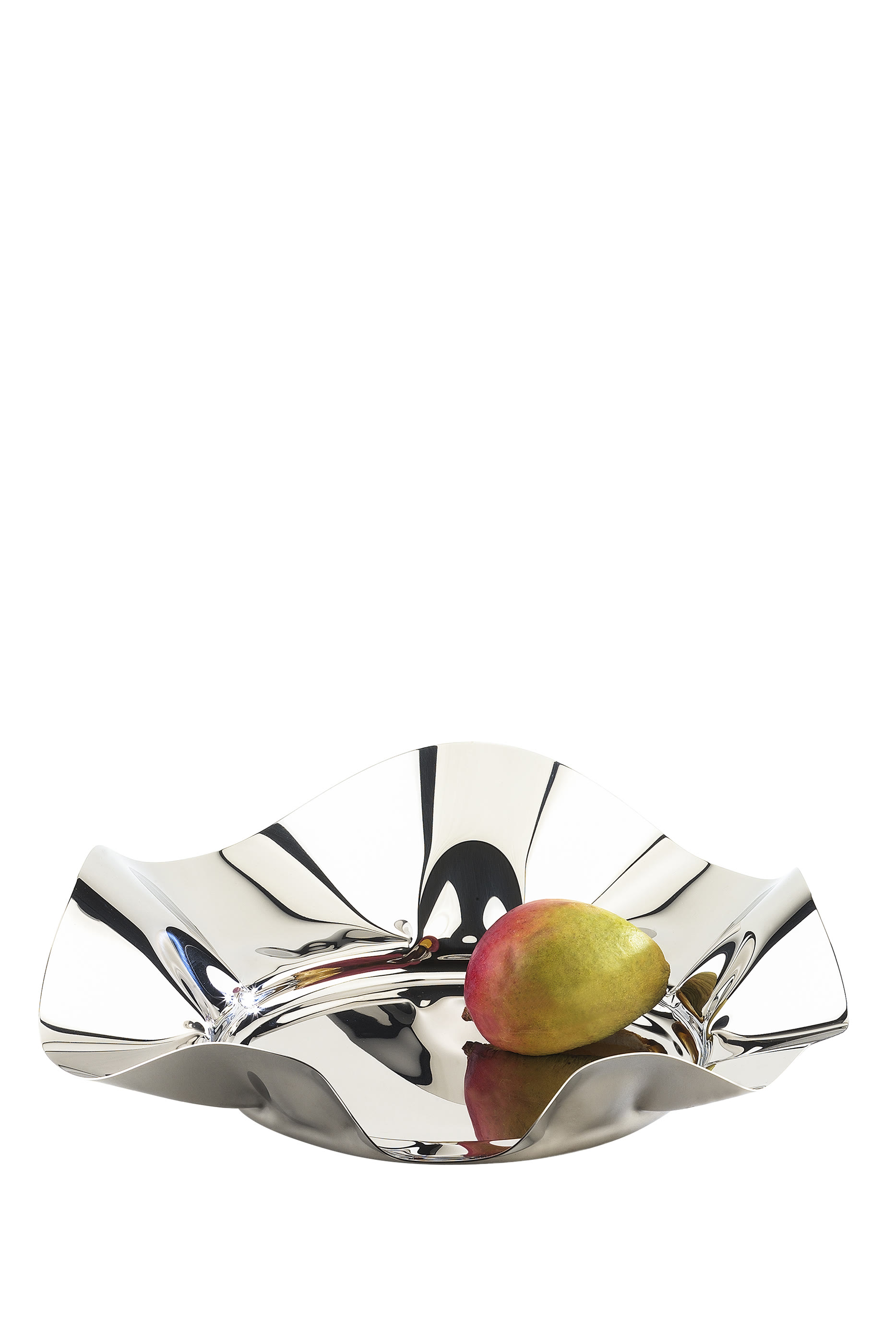 سلة ستانلس ستيل