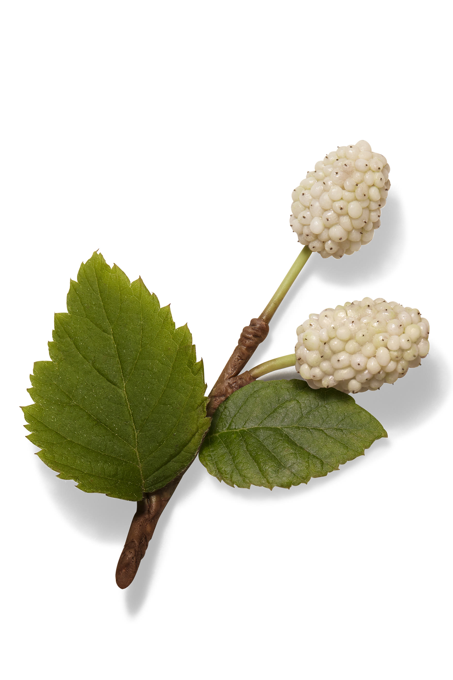 بلسم البشرة Herm&egrave;s Plein Air