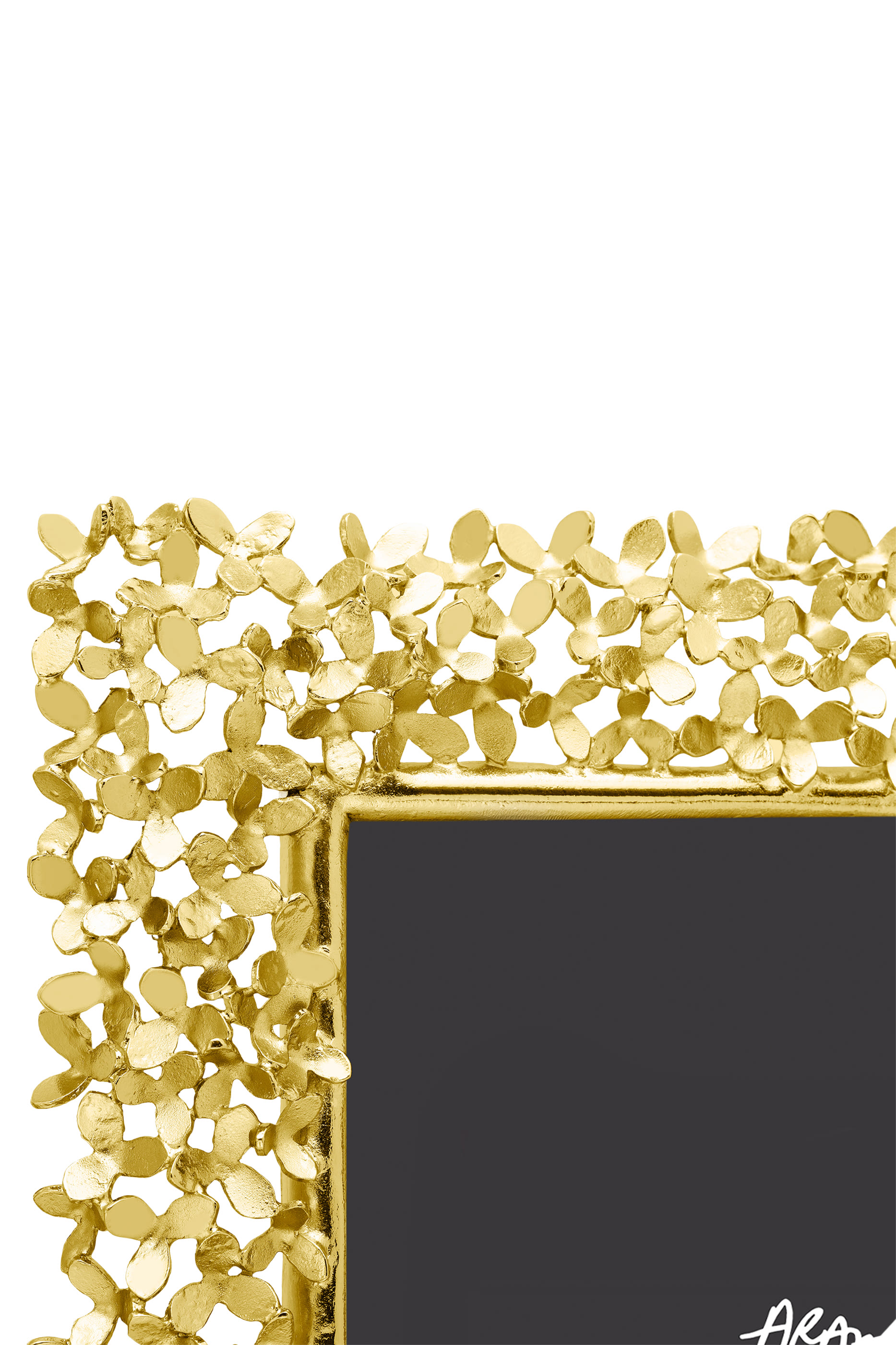 إطار دانديليون