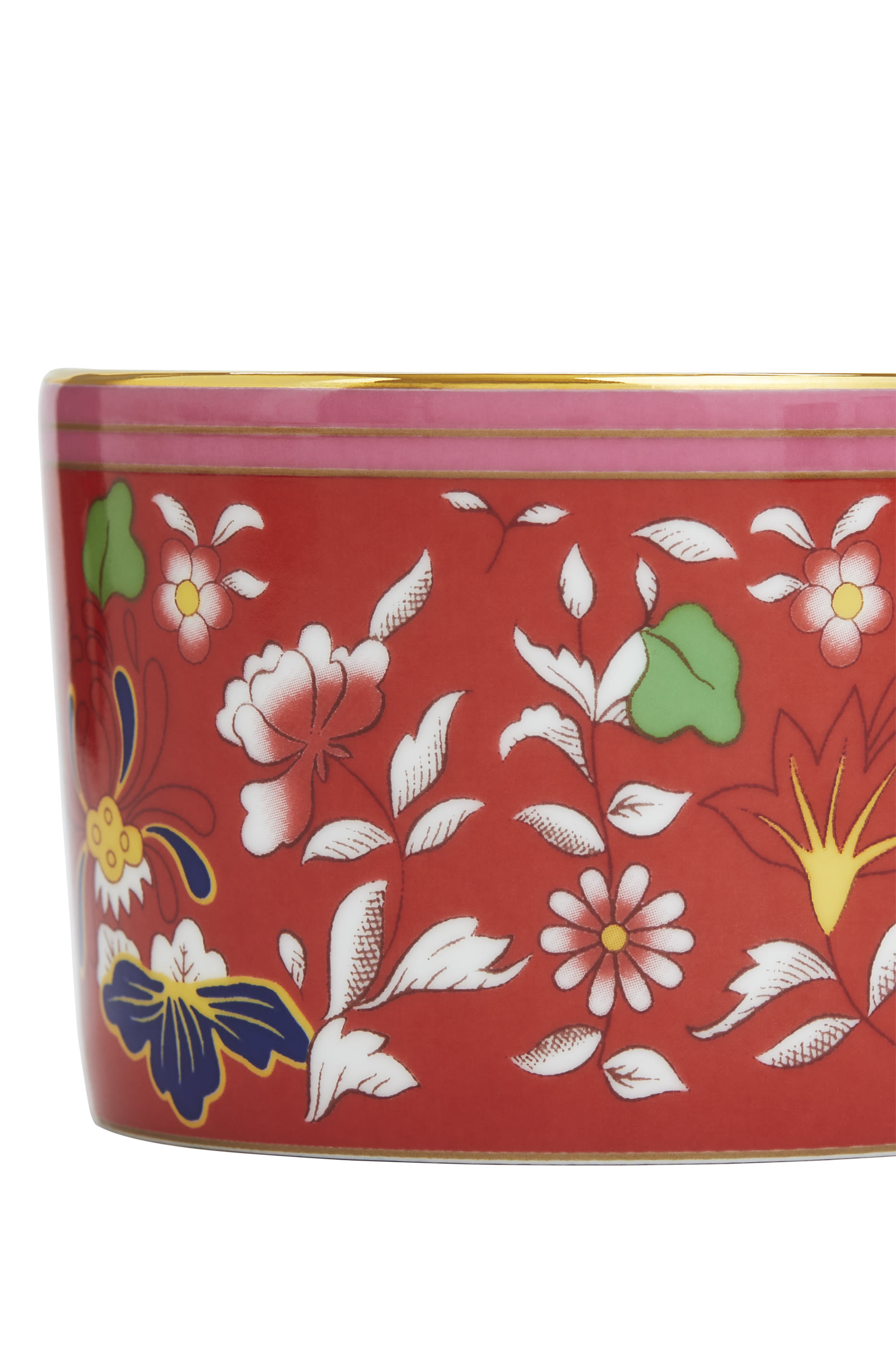 Wonderlust Crimson Jewel Teacup & Saucer