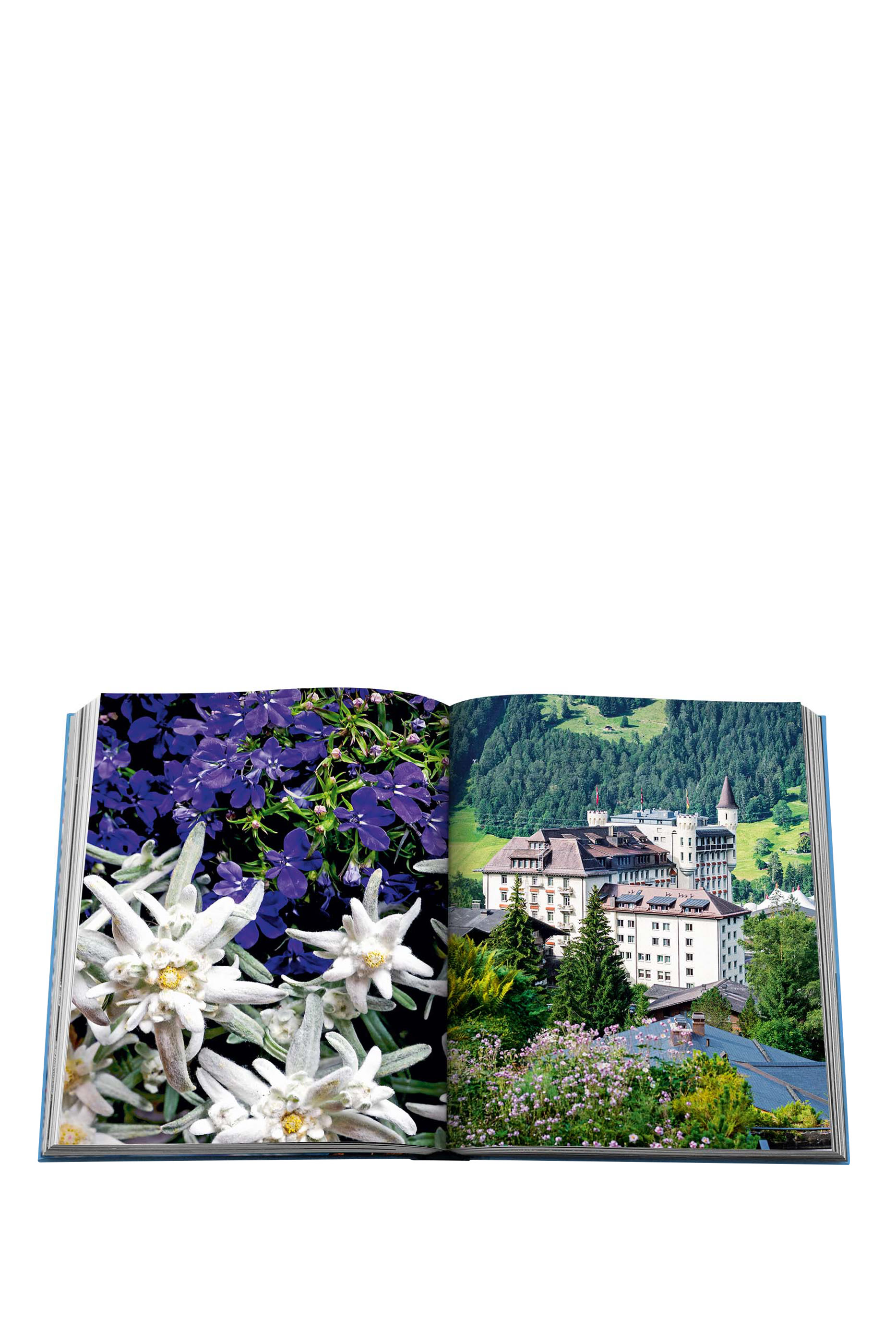 كتاب غستاد غلام