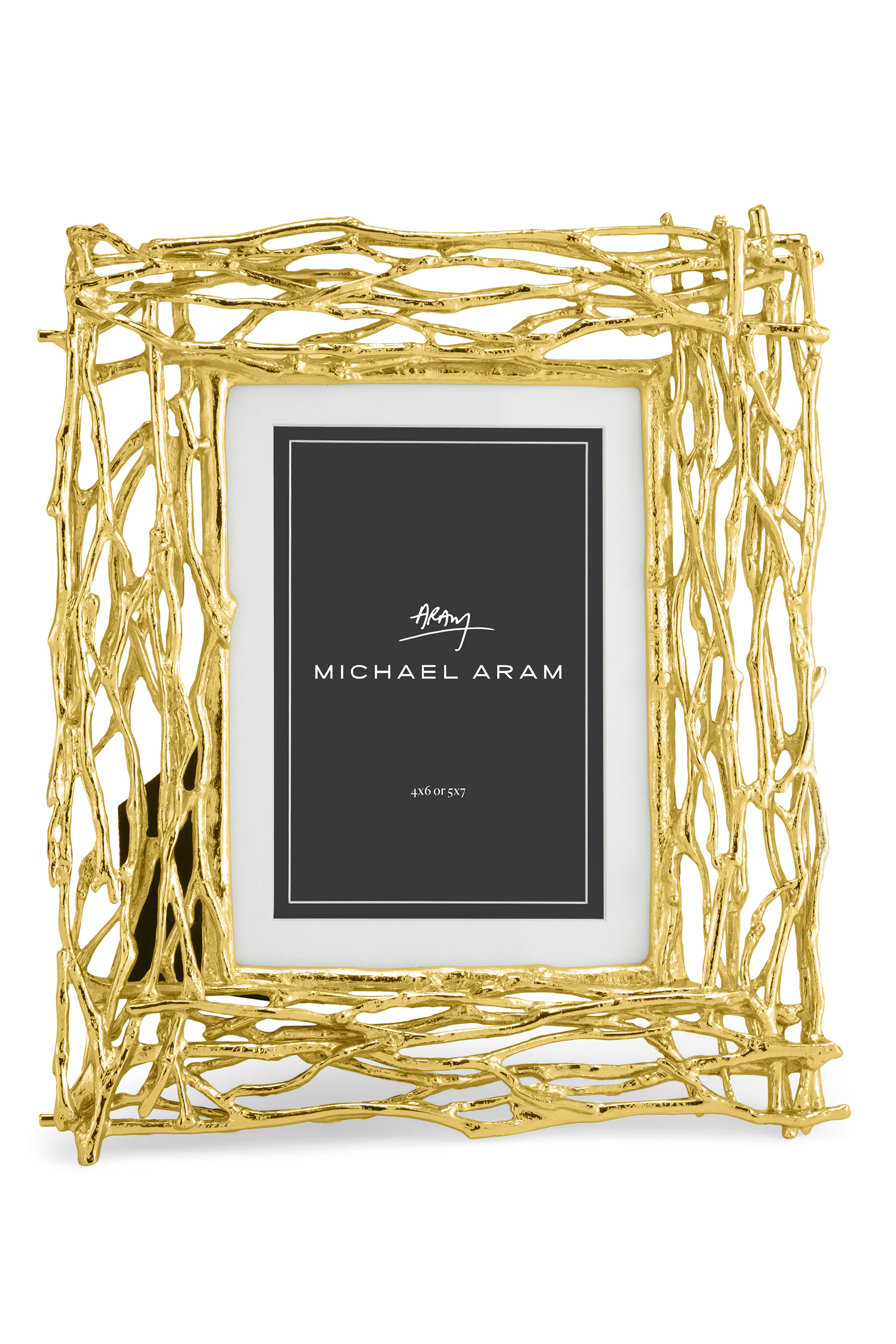 إطار مزين بغصن