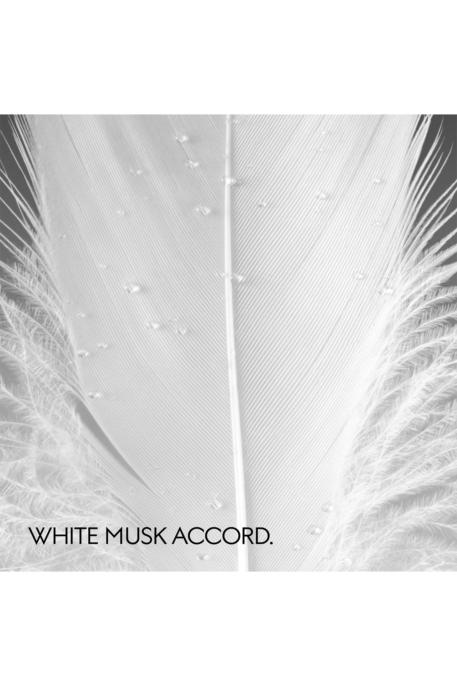 أو دو بارفان موشيو دي لوس، ذا الكيميست جاردن