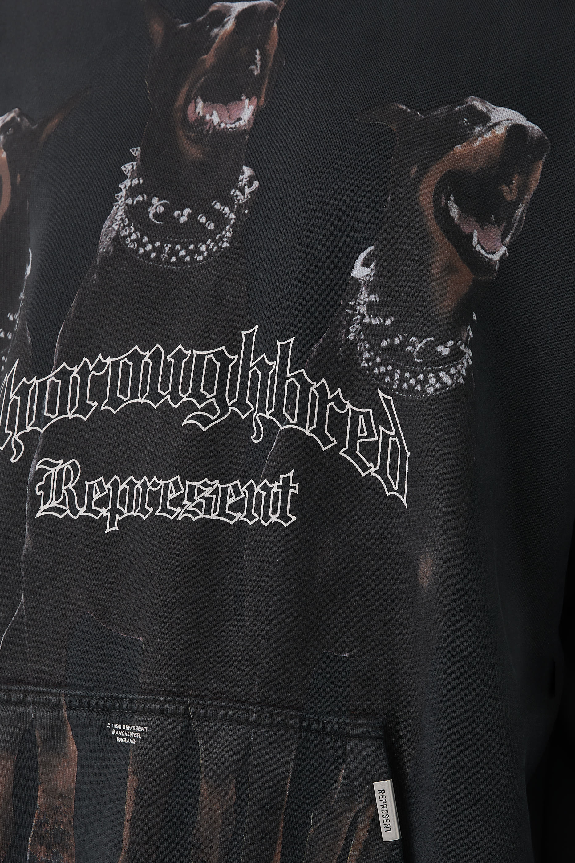 هودي ثوروبريد