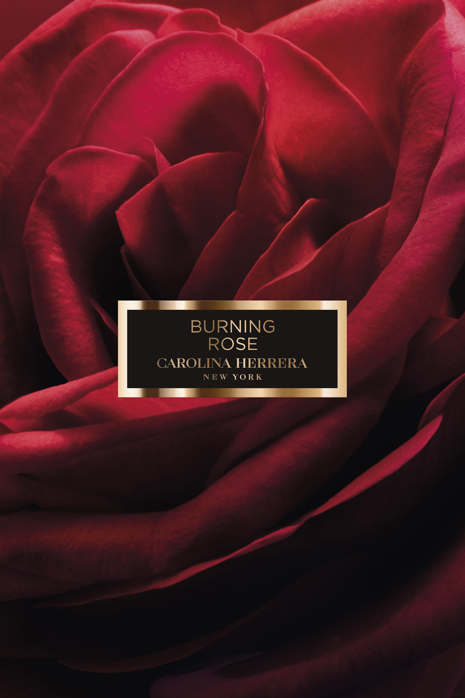 ماء عطر هيريرا كونفيدنشال بيرننغ روز