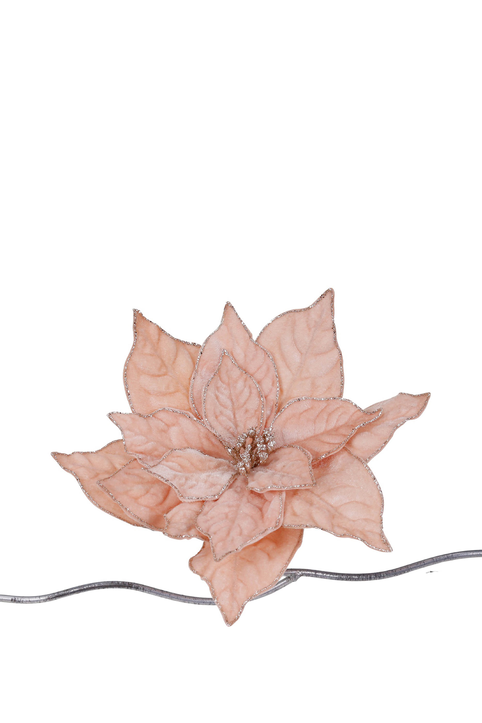 زينة بتصميم زهرة البونسيتة على مشبك