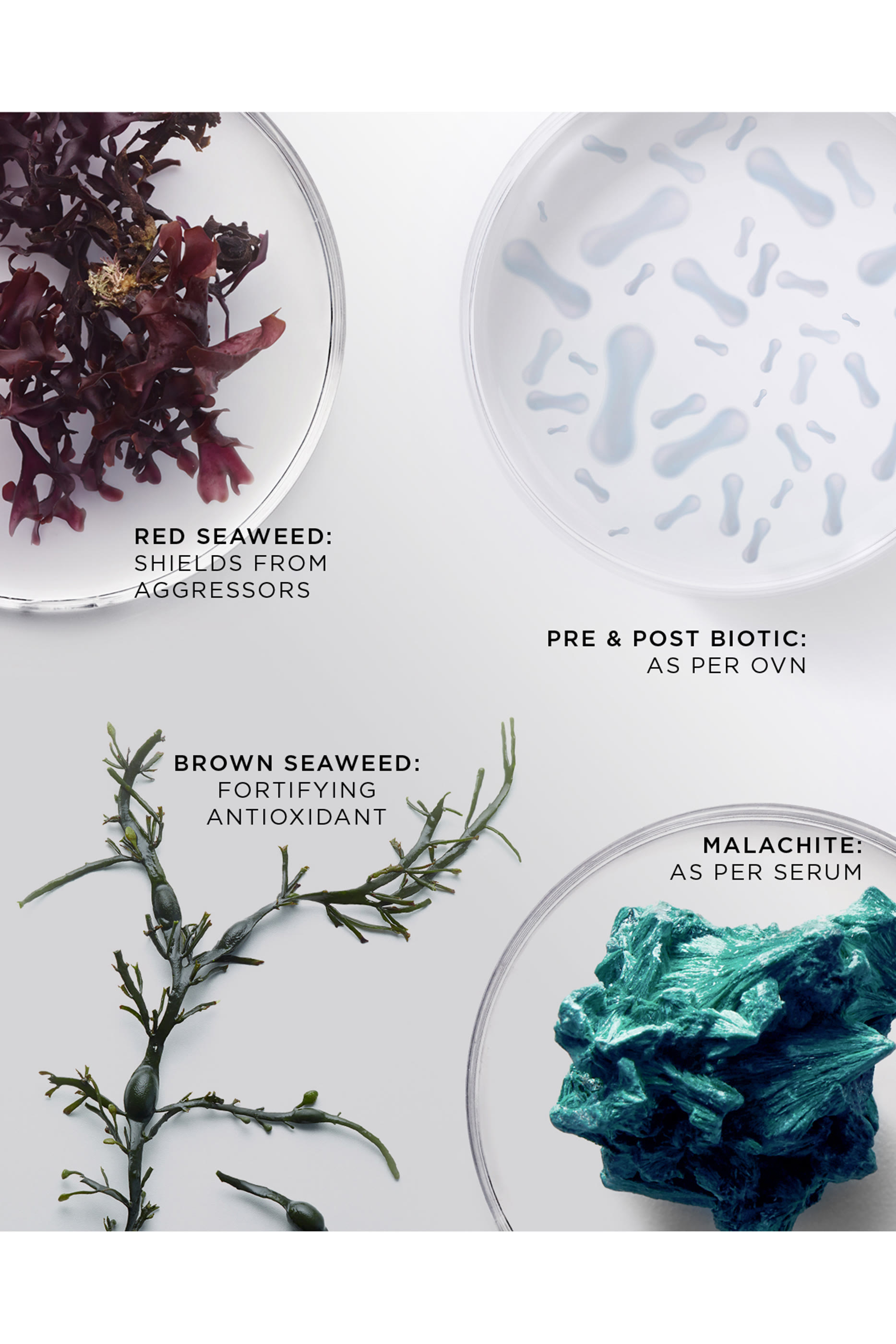 عبوة إعادة ملء مرطب بريليانت رايدينت ريزيليانس