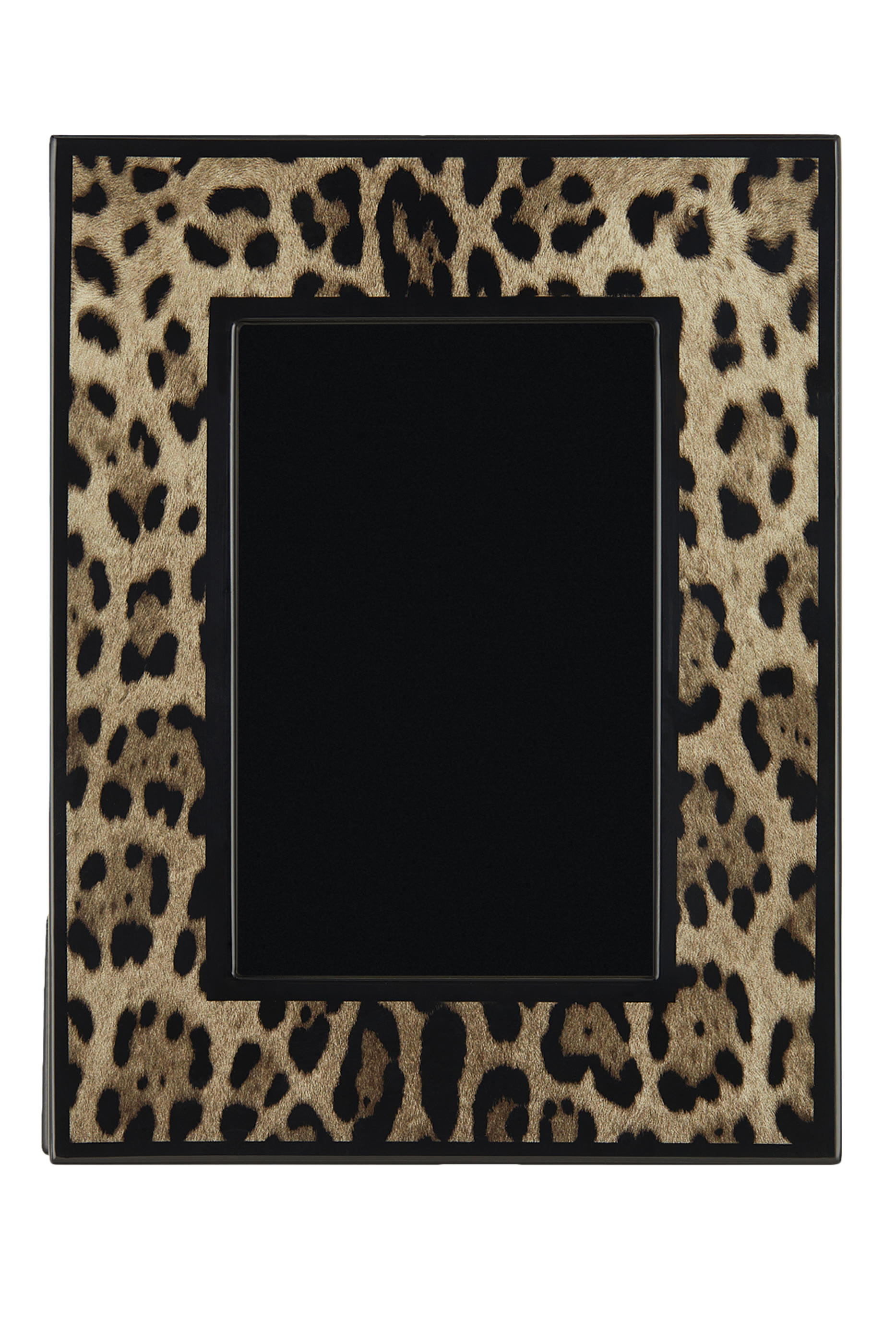 إطار صور ليو