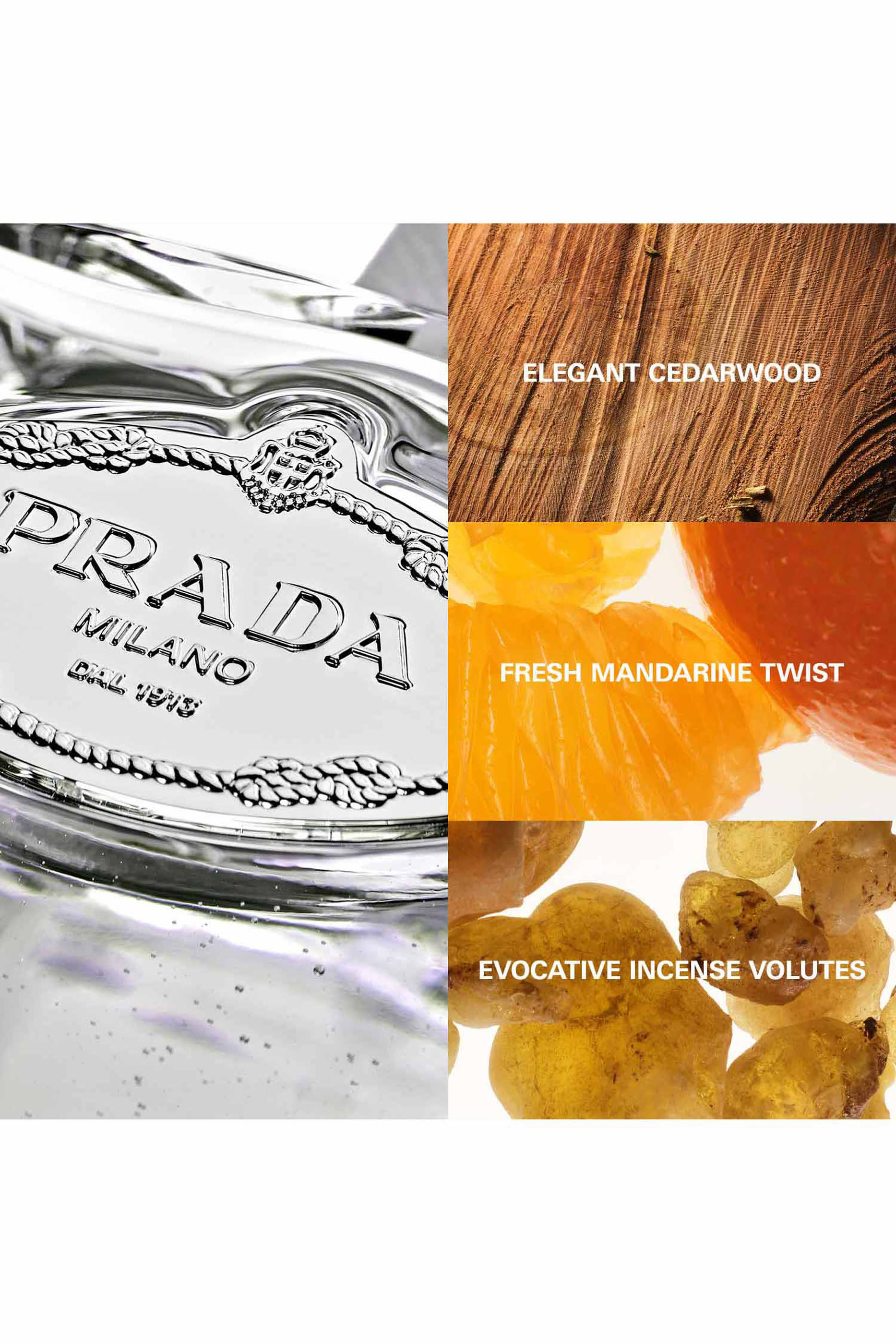 ماء عطر لي إنفيوجنس دو برادا سيدر