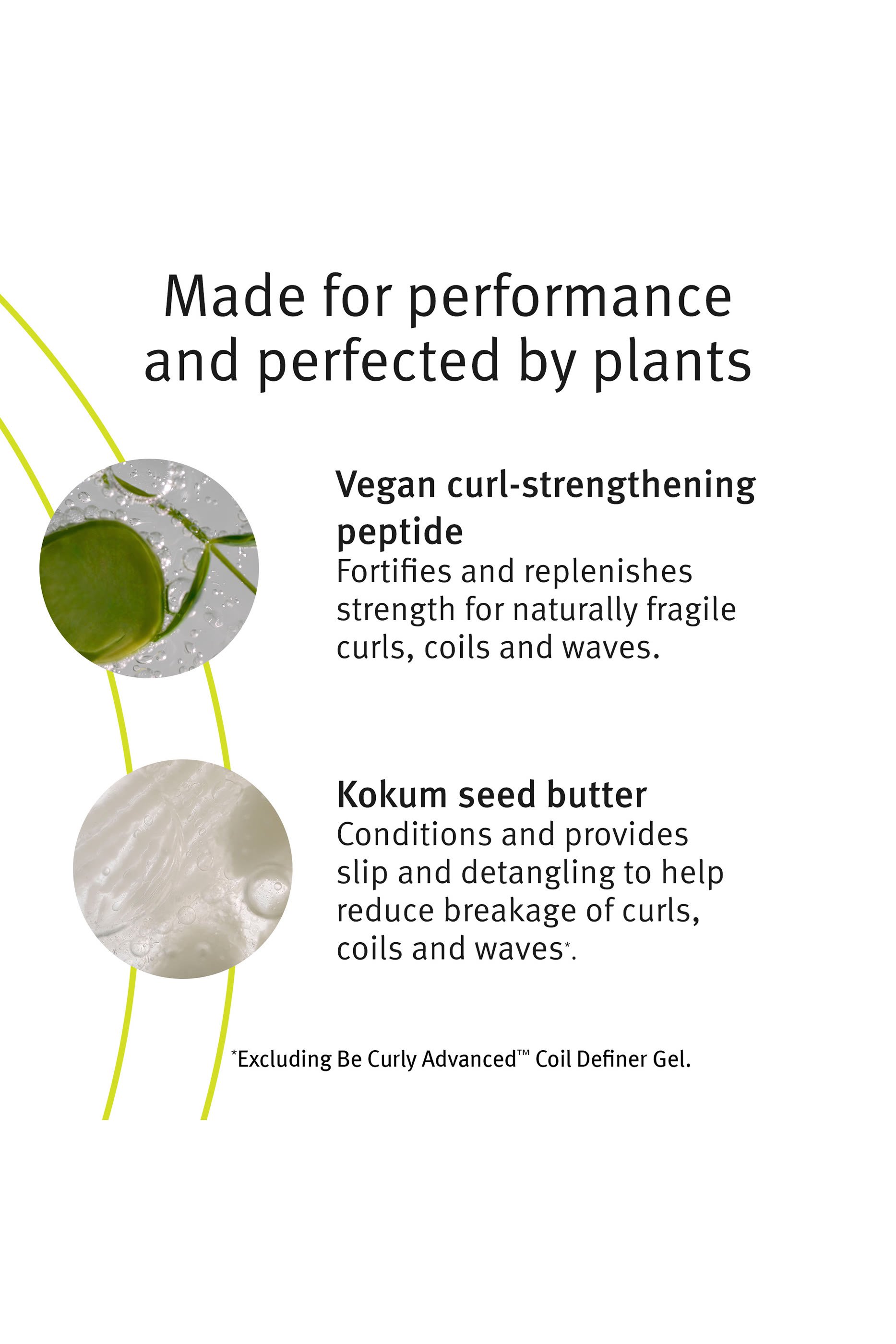 شامبو بي كيرلي أدفانسد