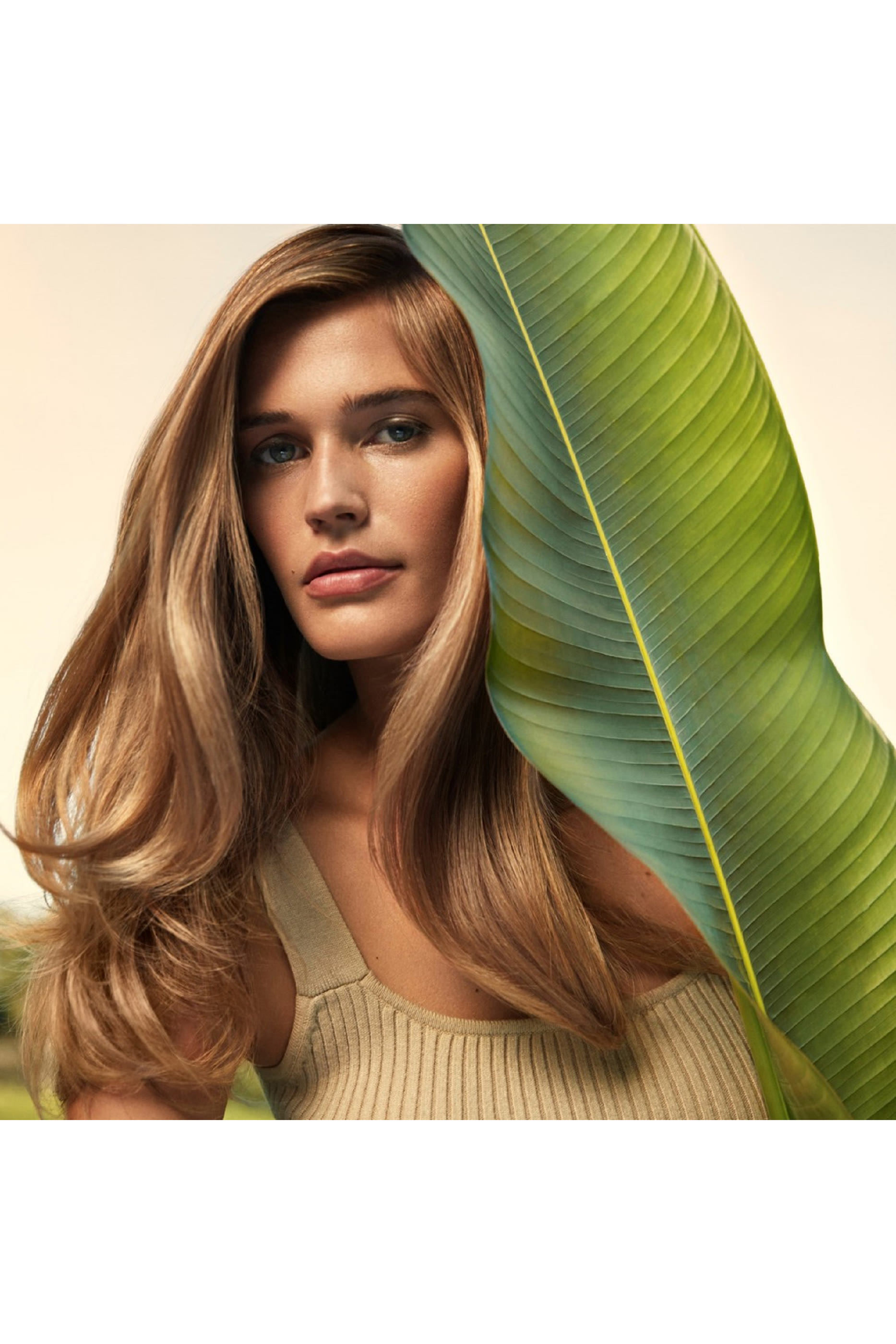 شامبو نيوتري بلينش للترطيب العميق