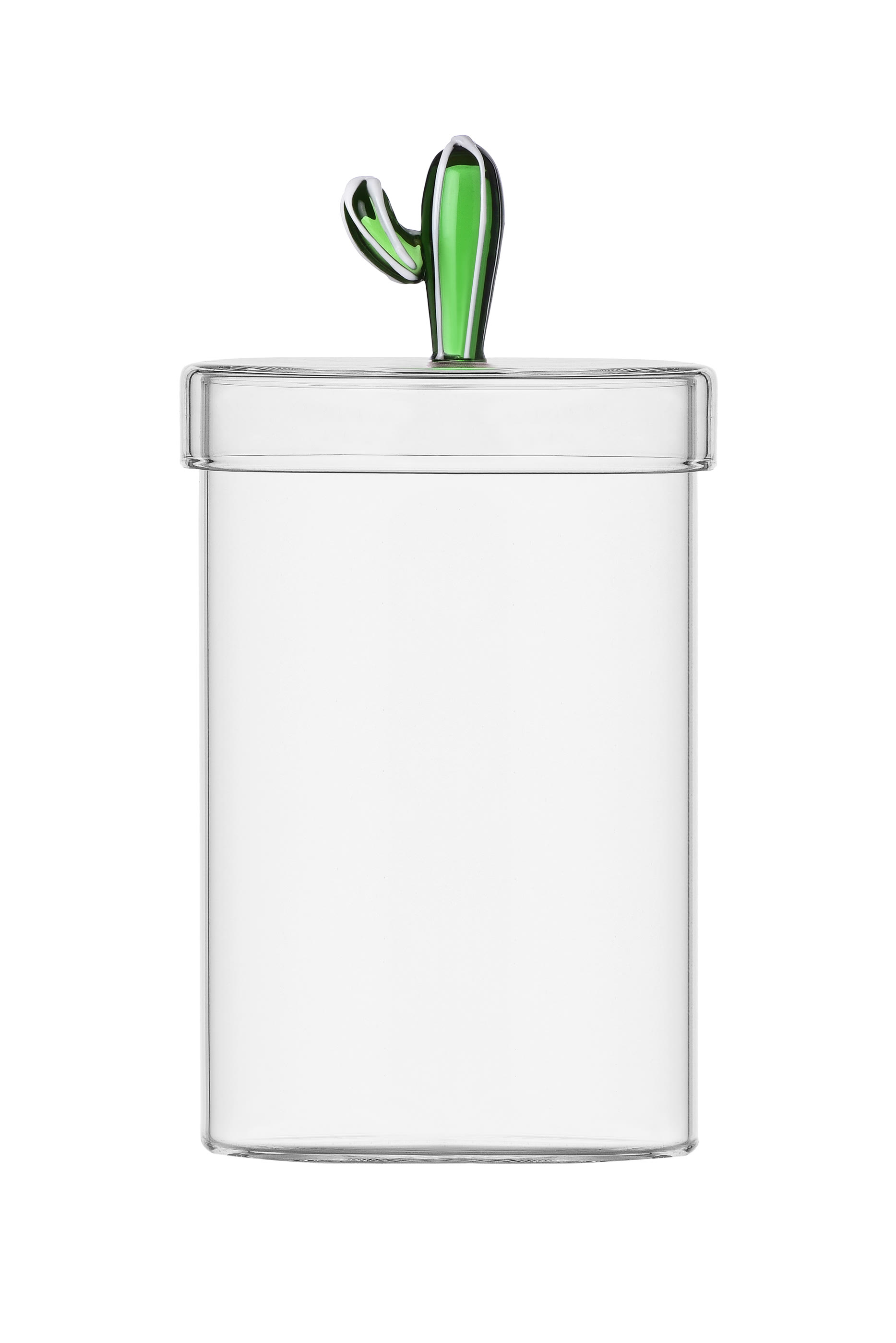 علبة ديزرت بلانتس مزينة بصبار أخضر