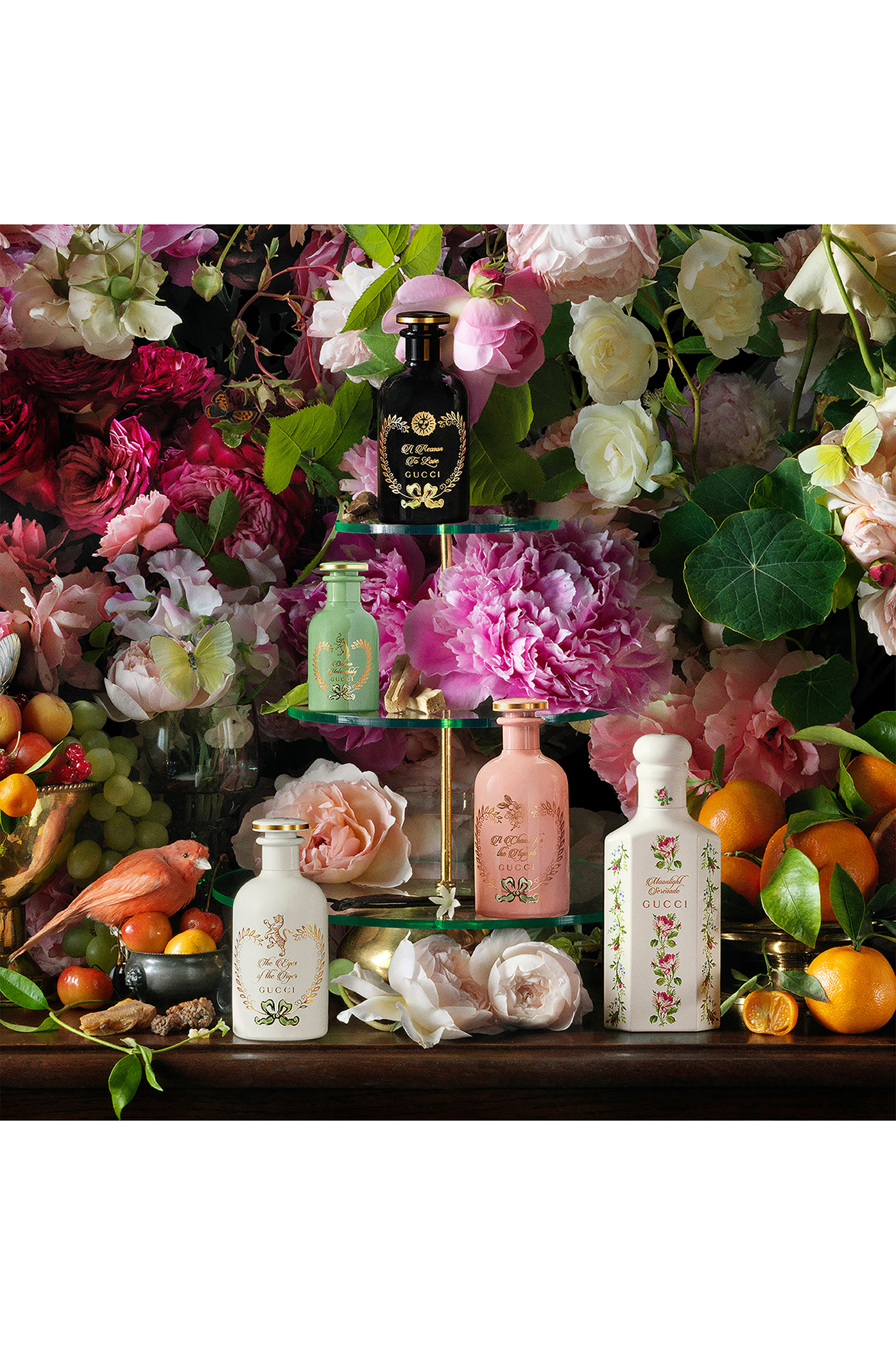 أو دو تواليت وينتر ميلودي أكوا بروفوماتا