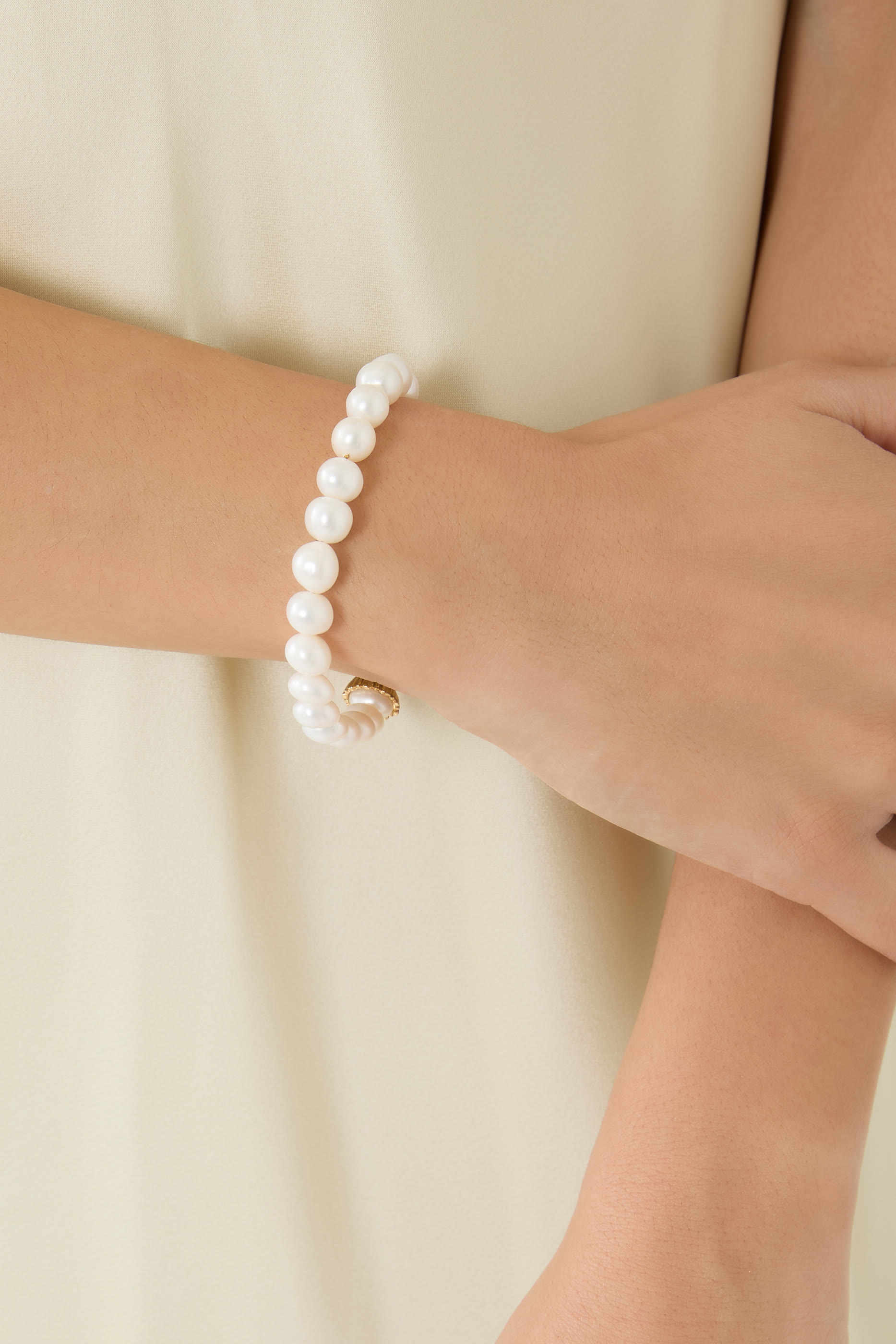 سوار بعقد ولونين