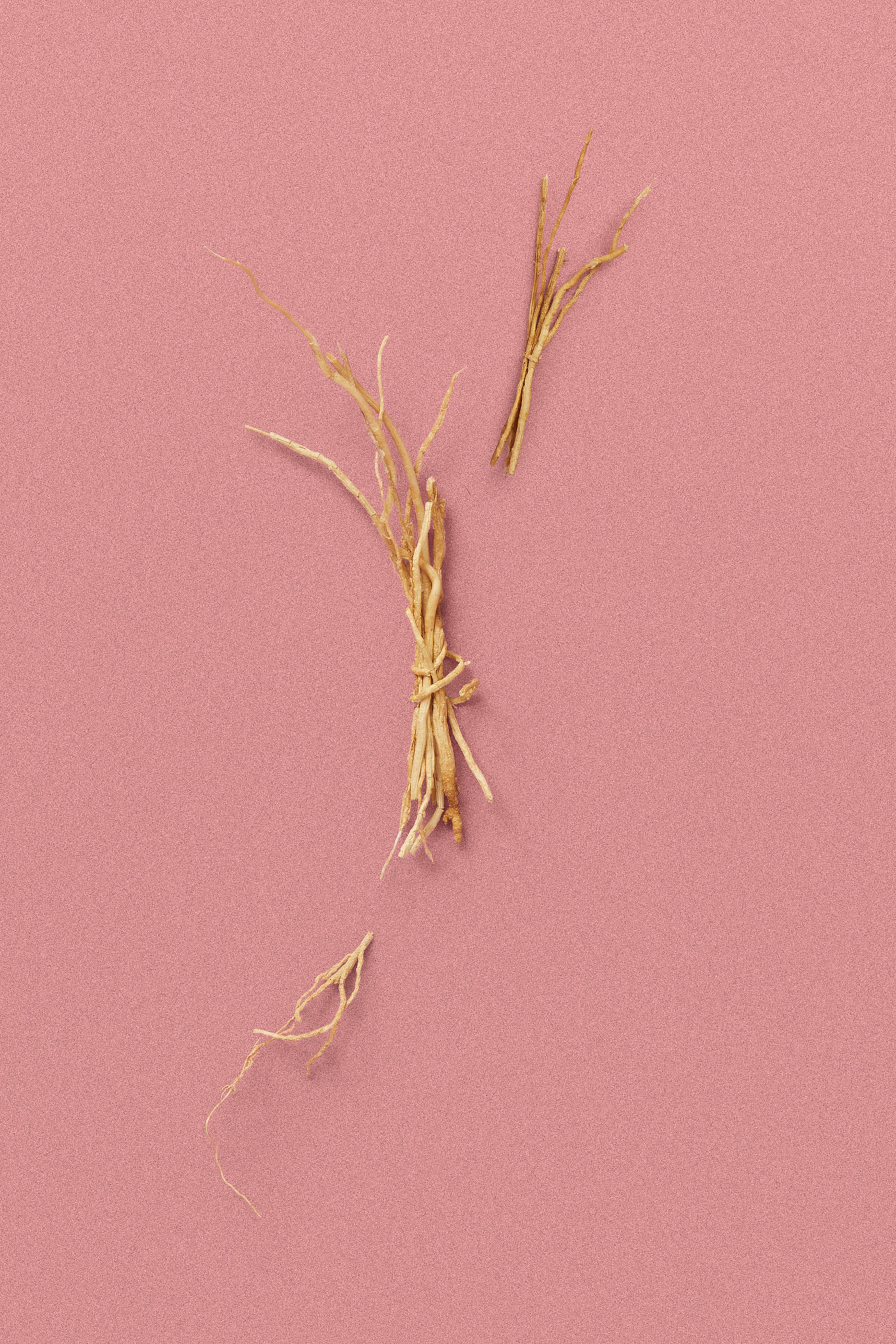 أو دو بارفان ذا ألكيميست غاردن أ جلومينغ نايت