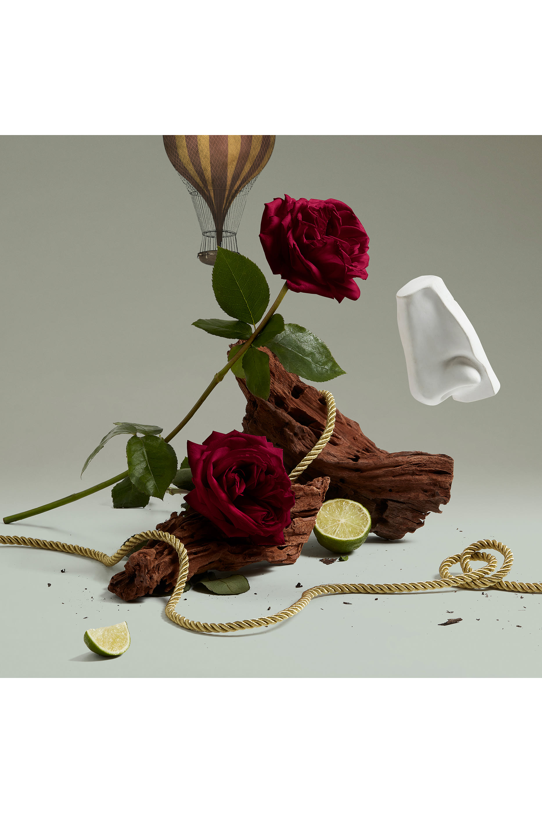 عطر هالفتي للشعر