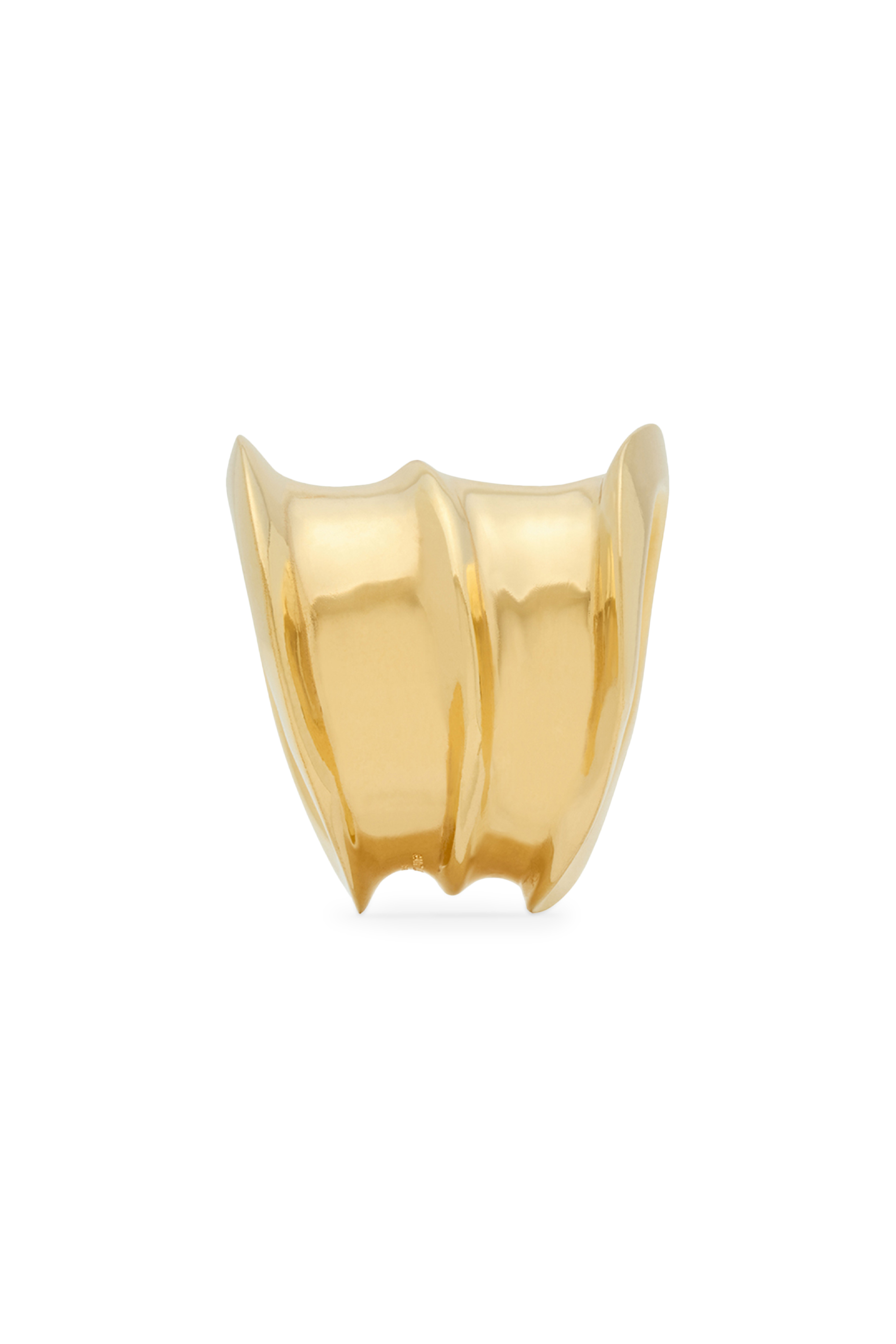 خاتم بتصميم مستوحى من الطبيعة