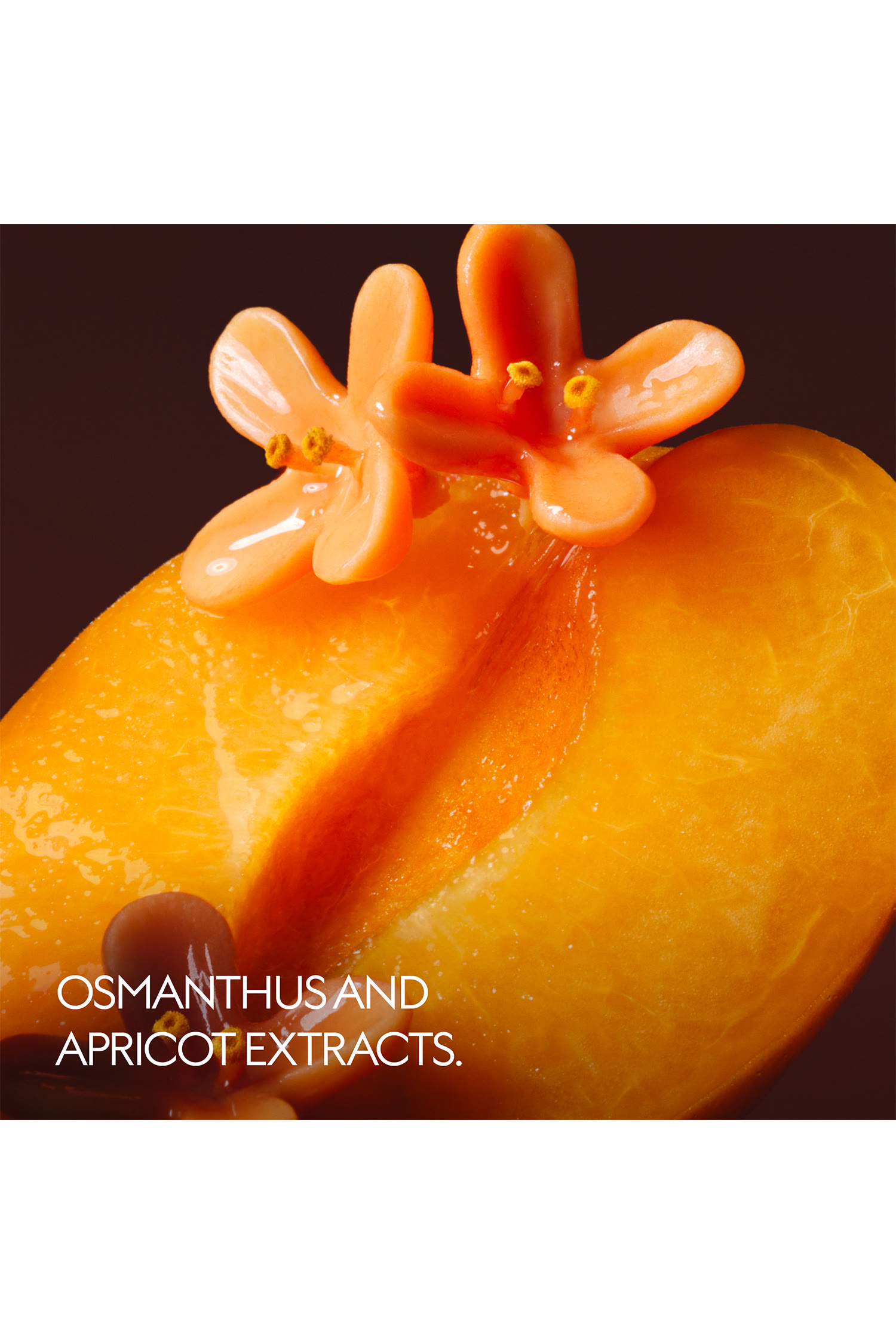 أو دو بارفان ذا الكيميست غاردن اوسمانتوس نكتار