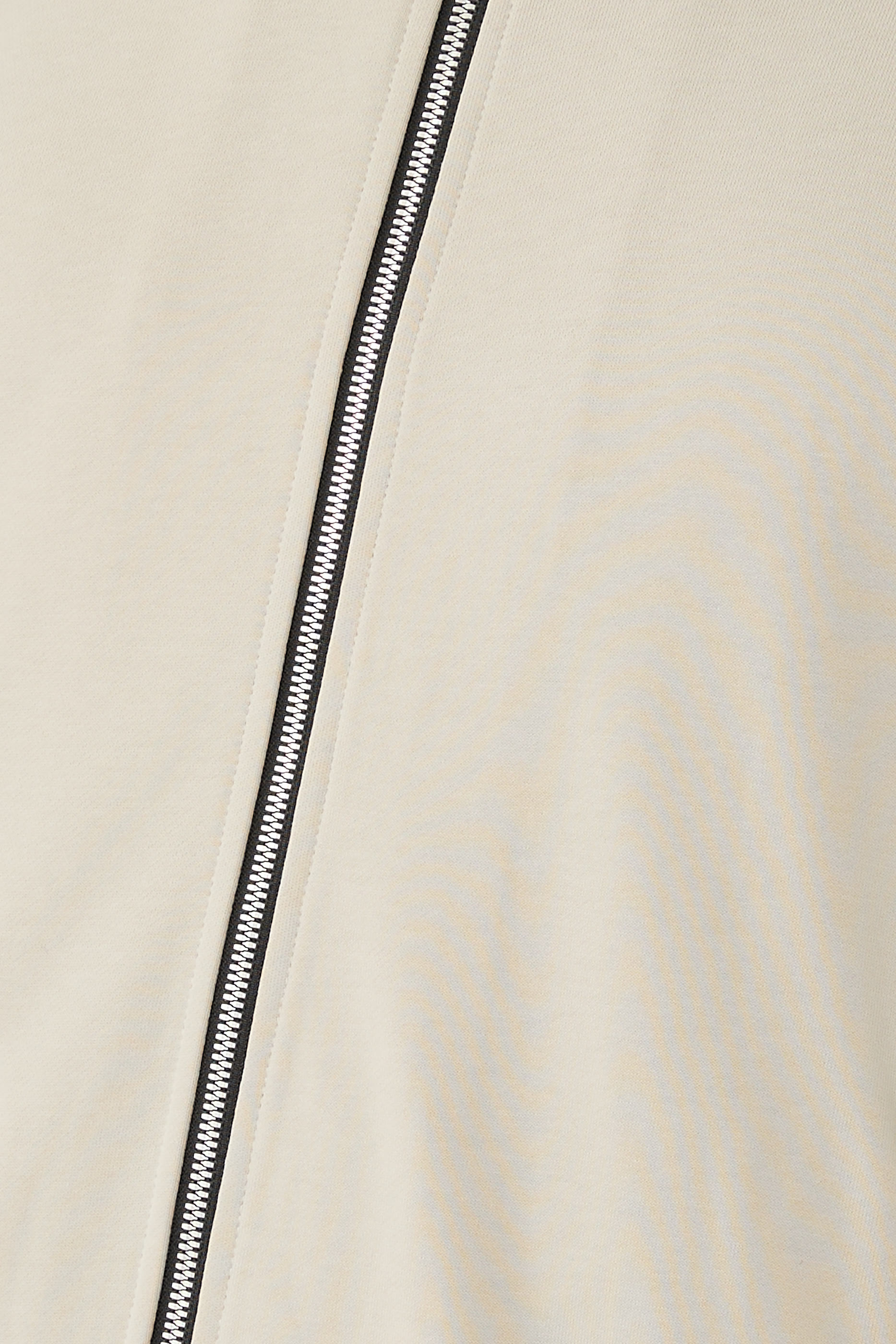 هودي هارتسفيلد