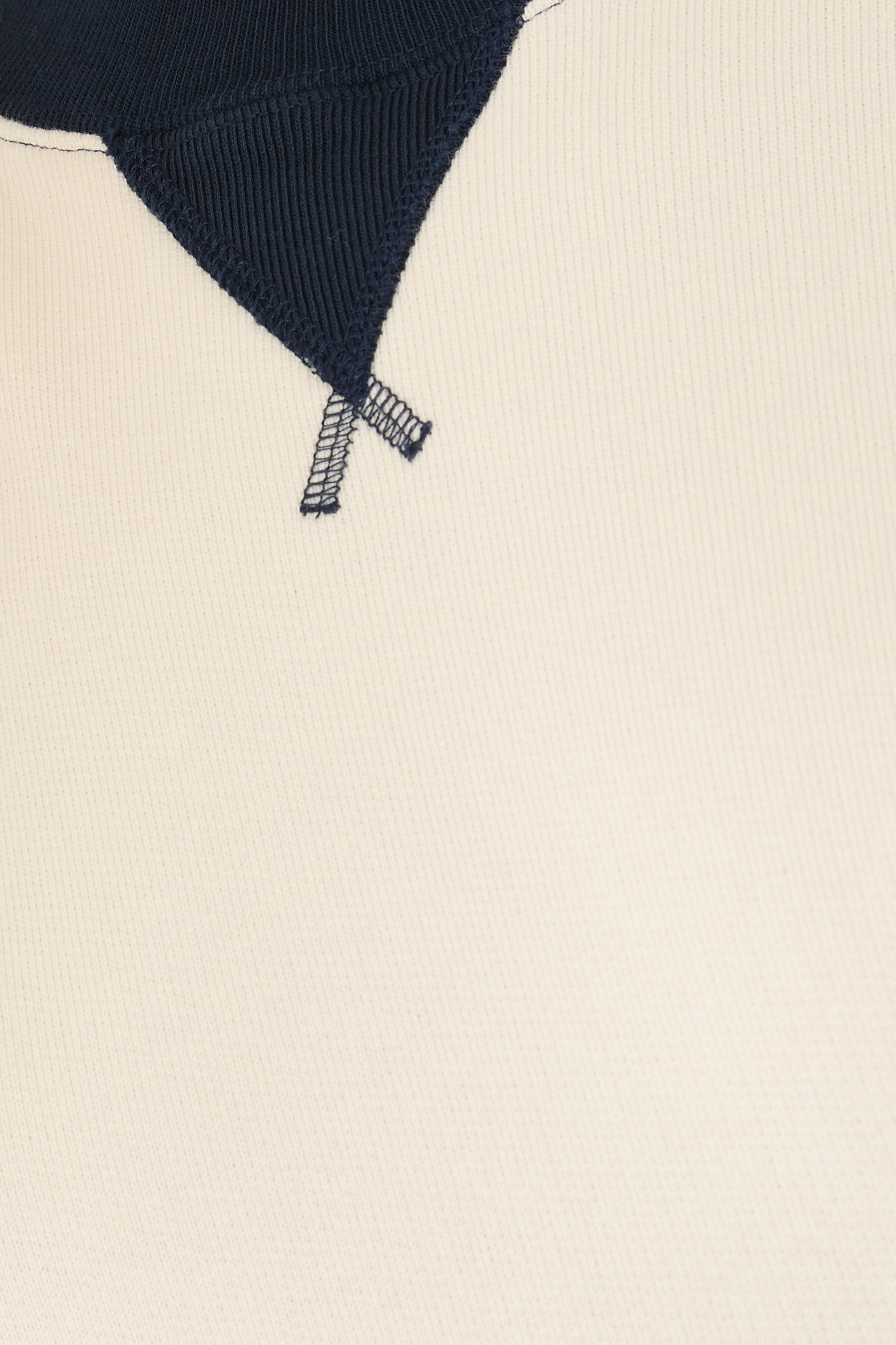 سويت شيرت بياقة بلون مغاير 