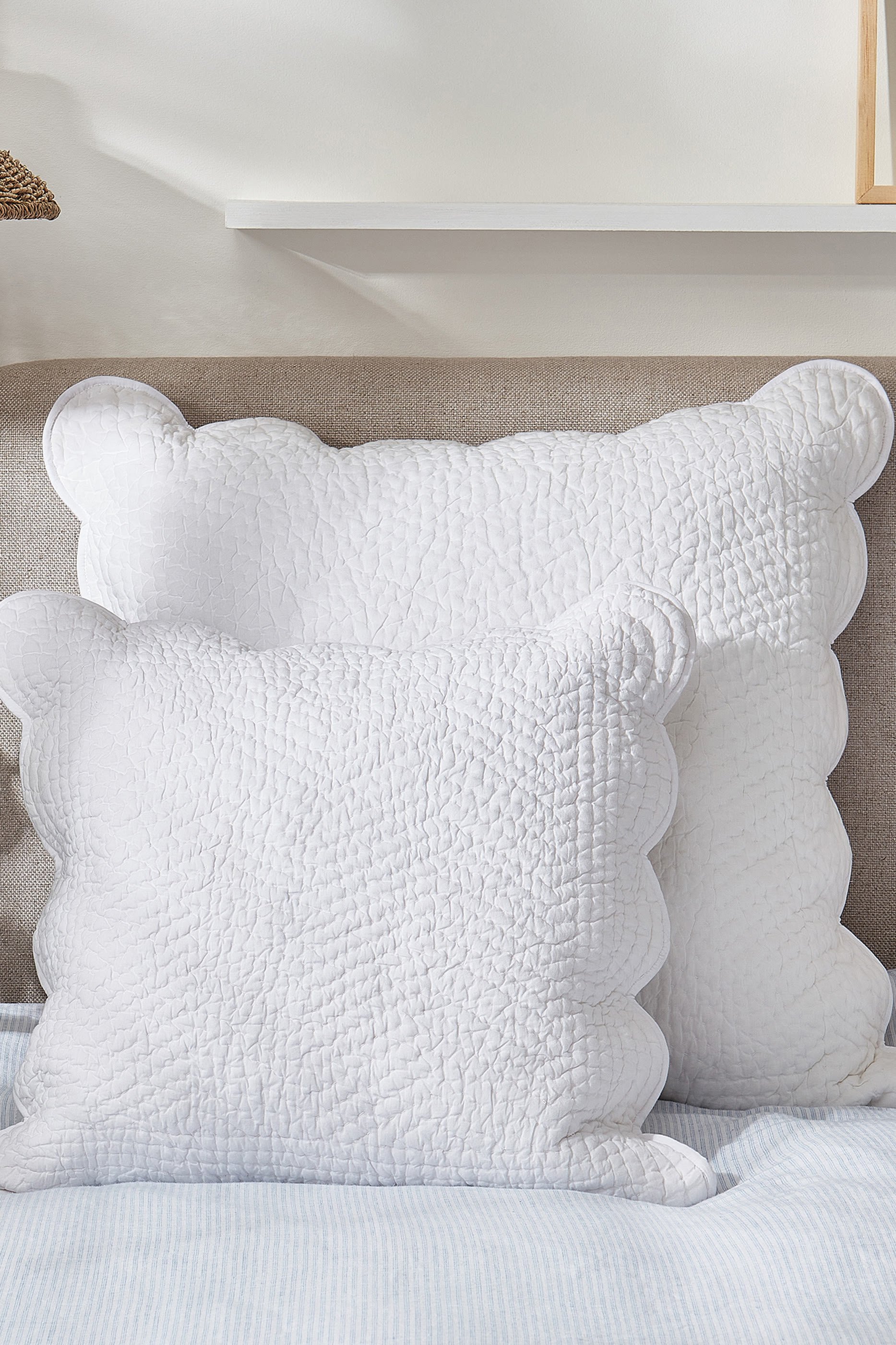 وسادة ميلفيلد بحواف صدفية