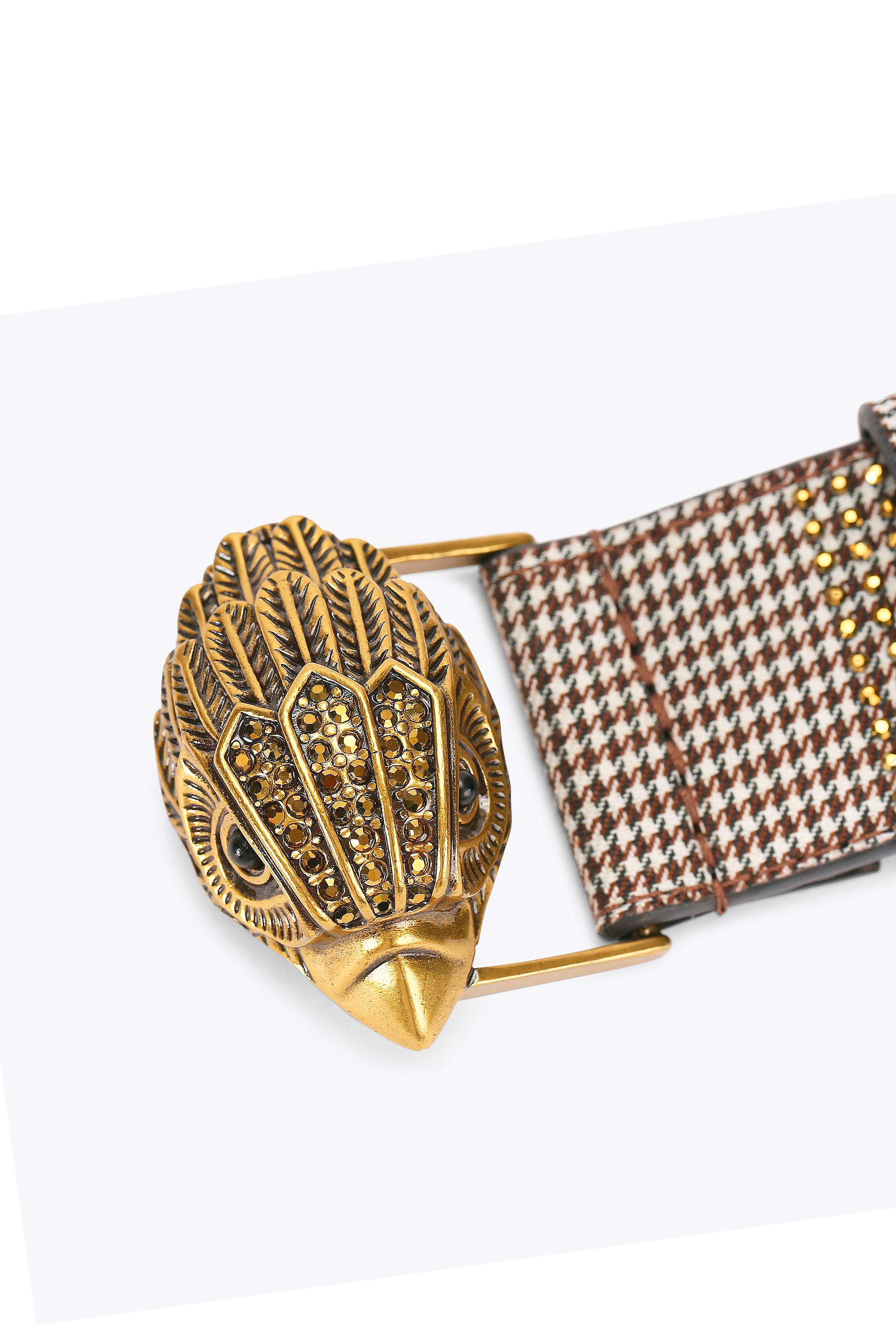 حزام 38 كينسينغتون