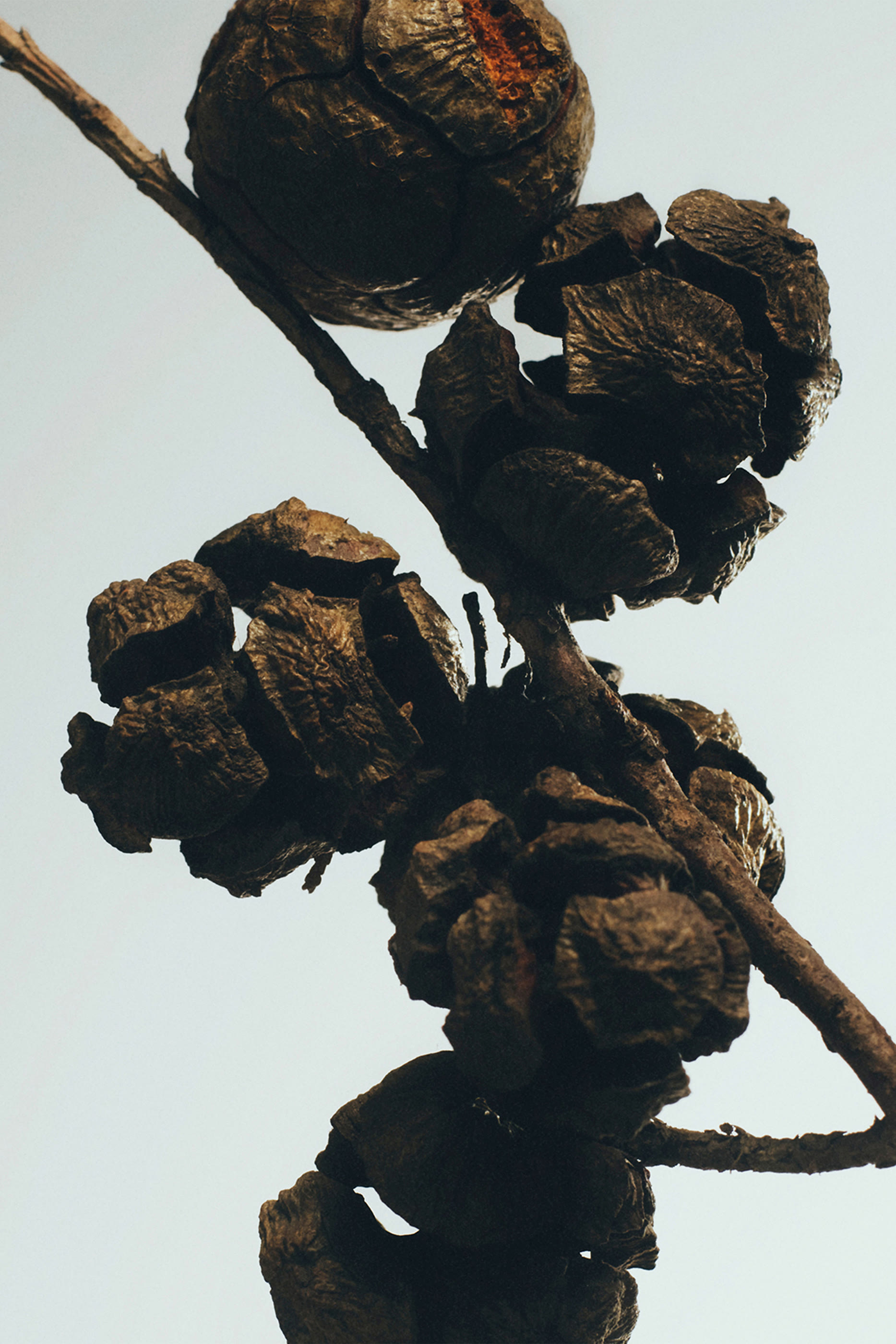 شمعة سايبرس بولز معطرة بتصميم حامل شموع