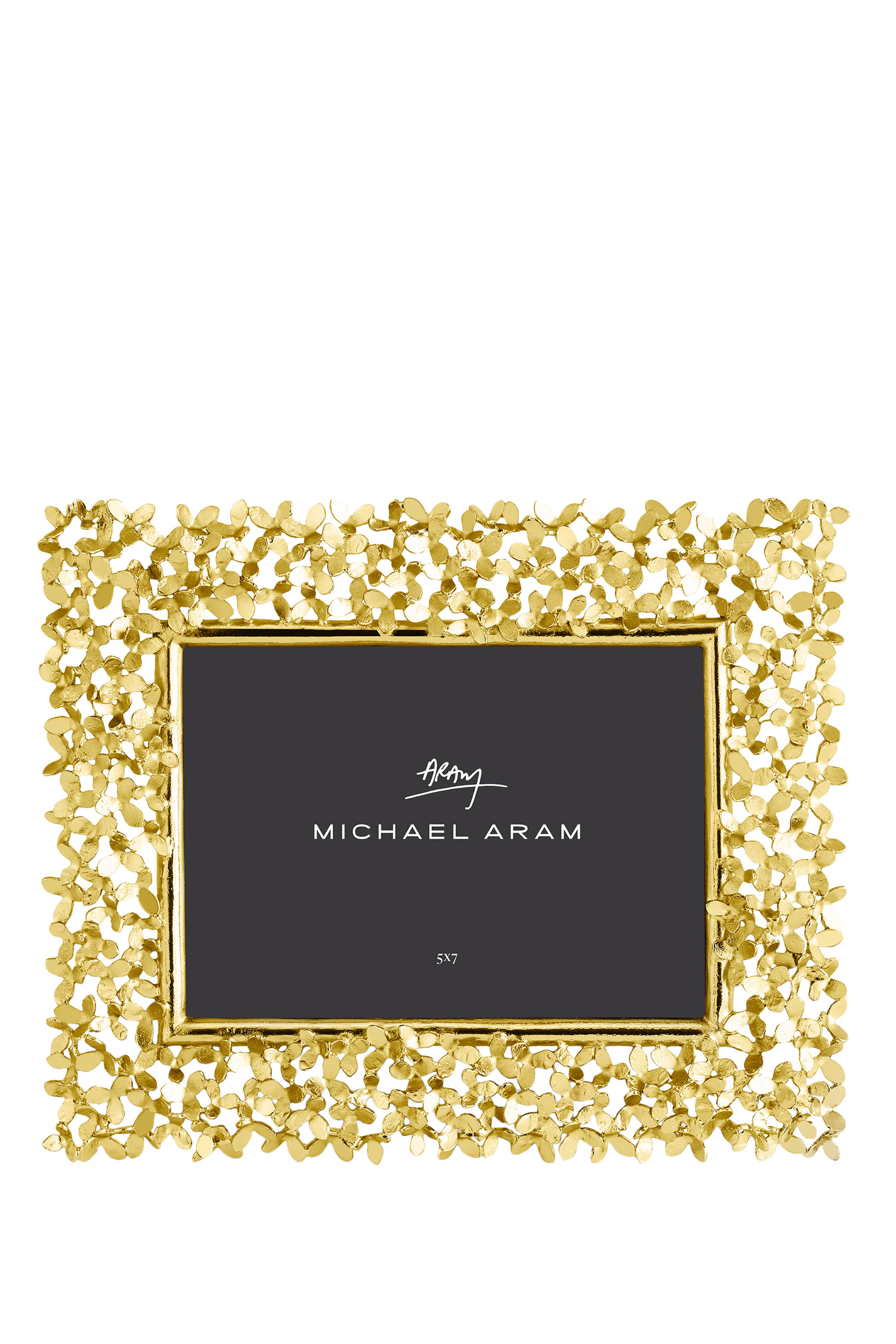 إطار دانديليون