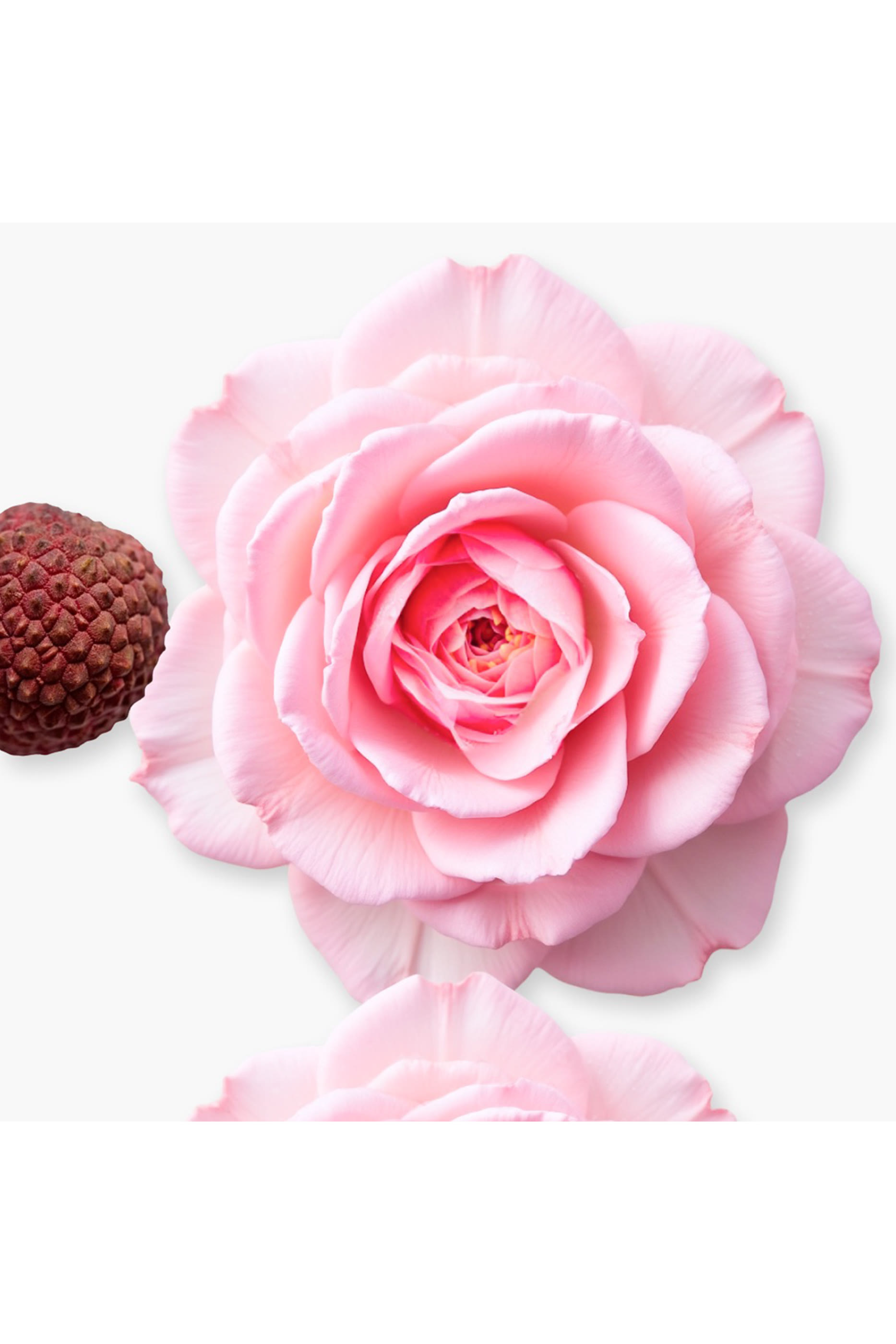 كريم الجسم ديلينا قابل لإعادة الملء