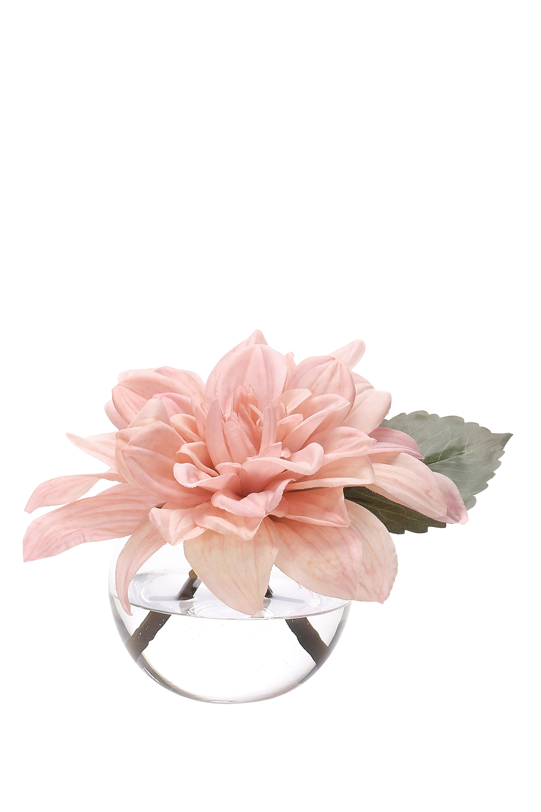 باقة زهور داليا بتصميم حديقة مائية اصطناعية