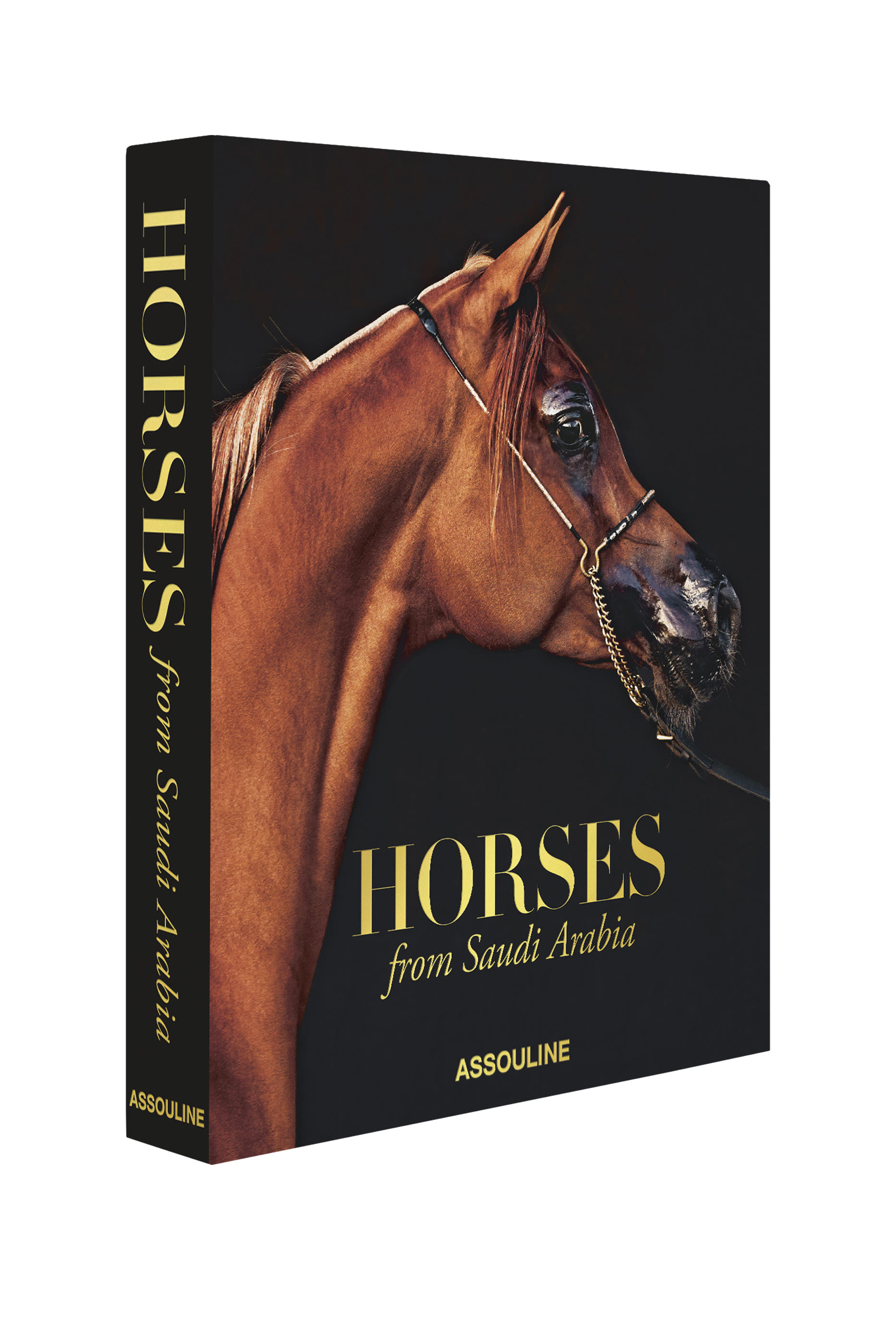 كتاب خيول من المملكة العربية السعودية