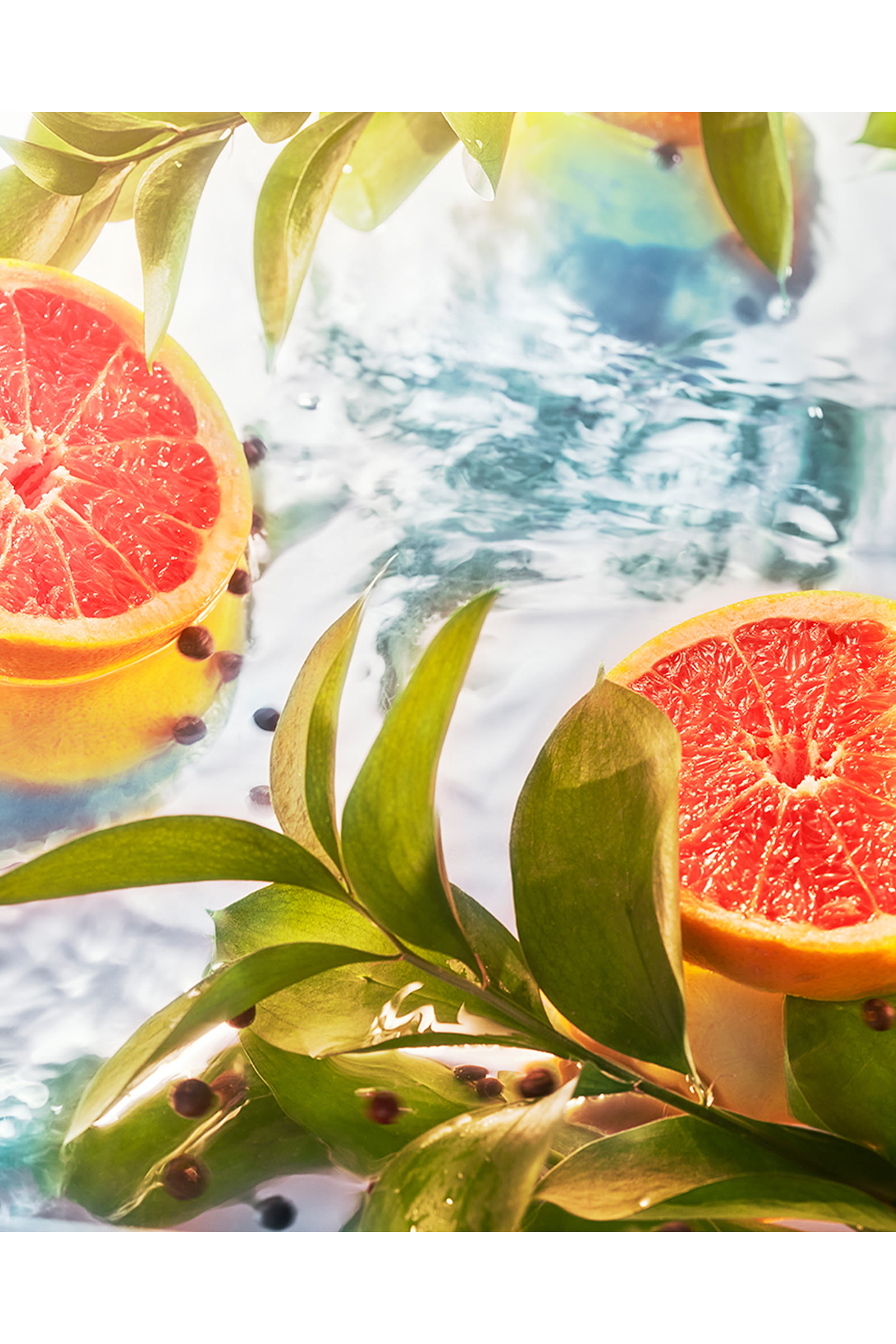 أو دو بارفان مركز إليسيوم